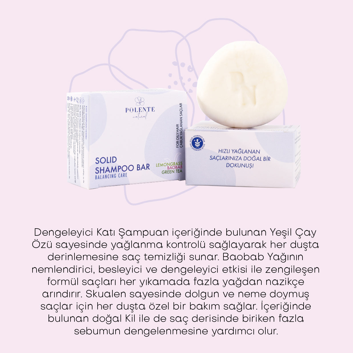 Dengeleyici Katı Şampuan / Yağlı Saçlar (110 gr)