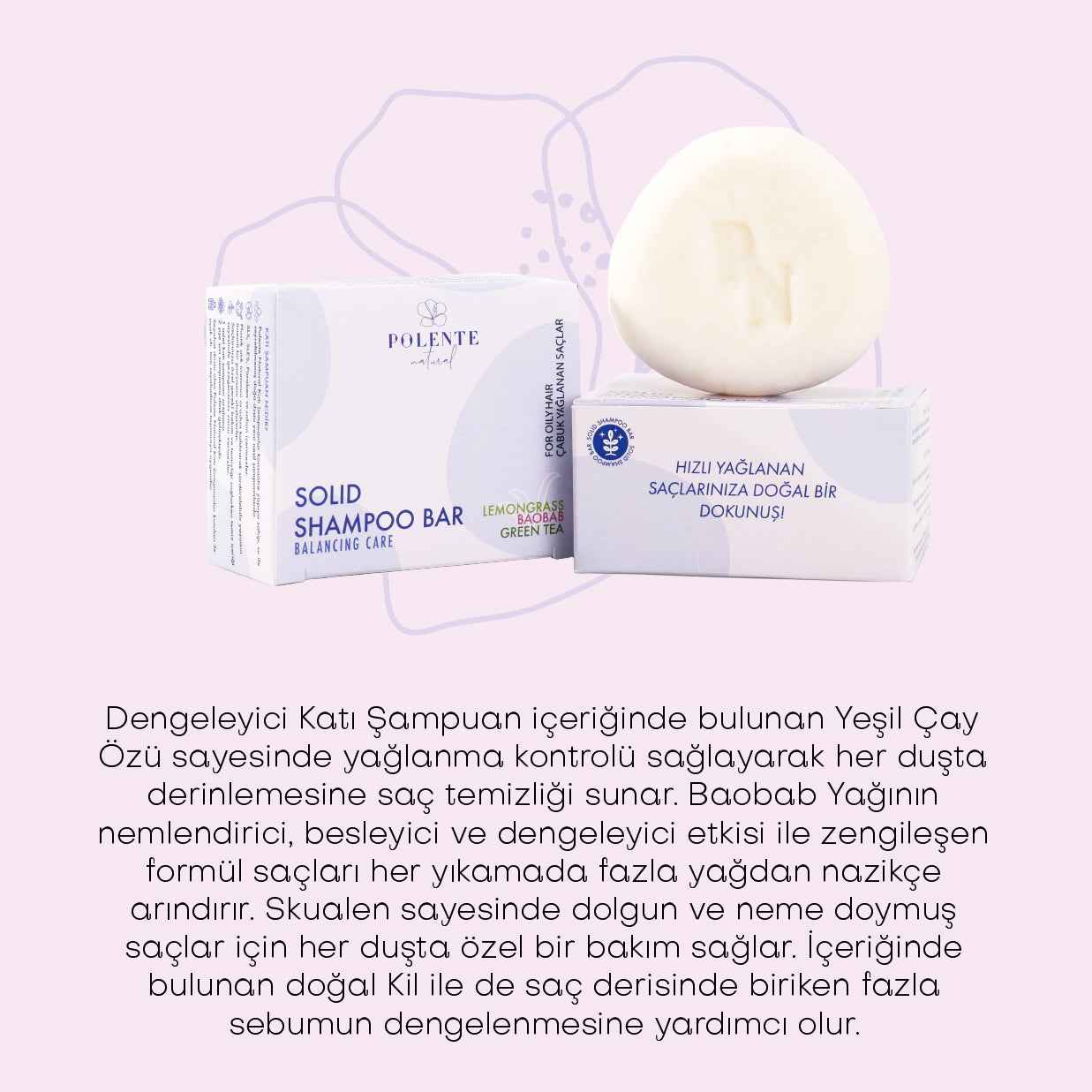 Dengeleyici Katı Şampuan / Yağlı Saçlar (110 gr)