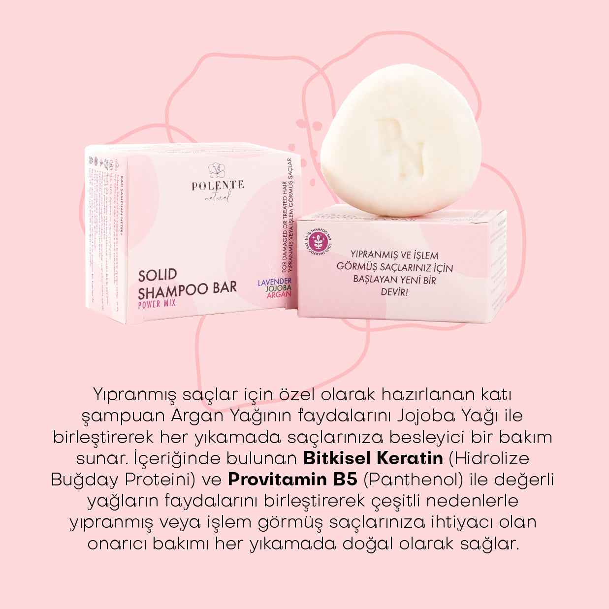Onarıcı-Besleyici Katı Şampuan/ Yıpranmış-İşlem Görmüş Saçlar (110 gr)