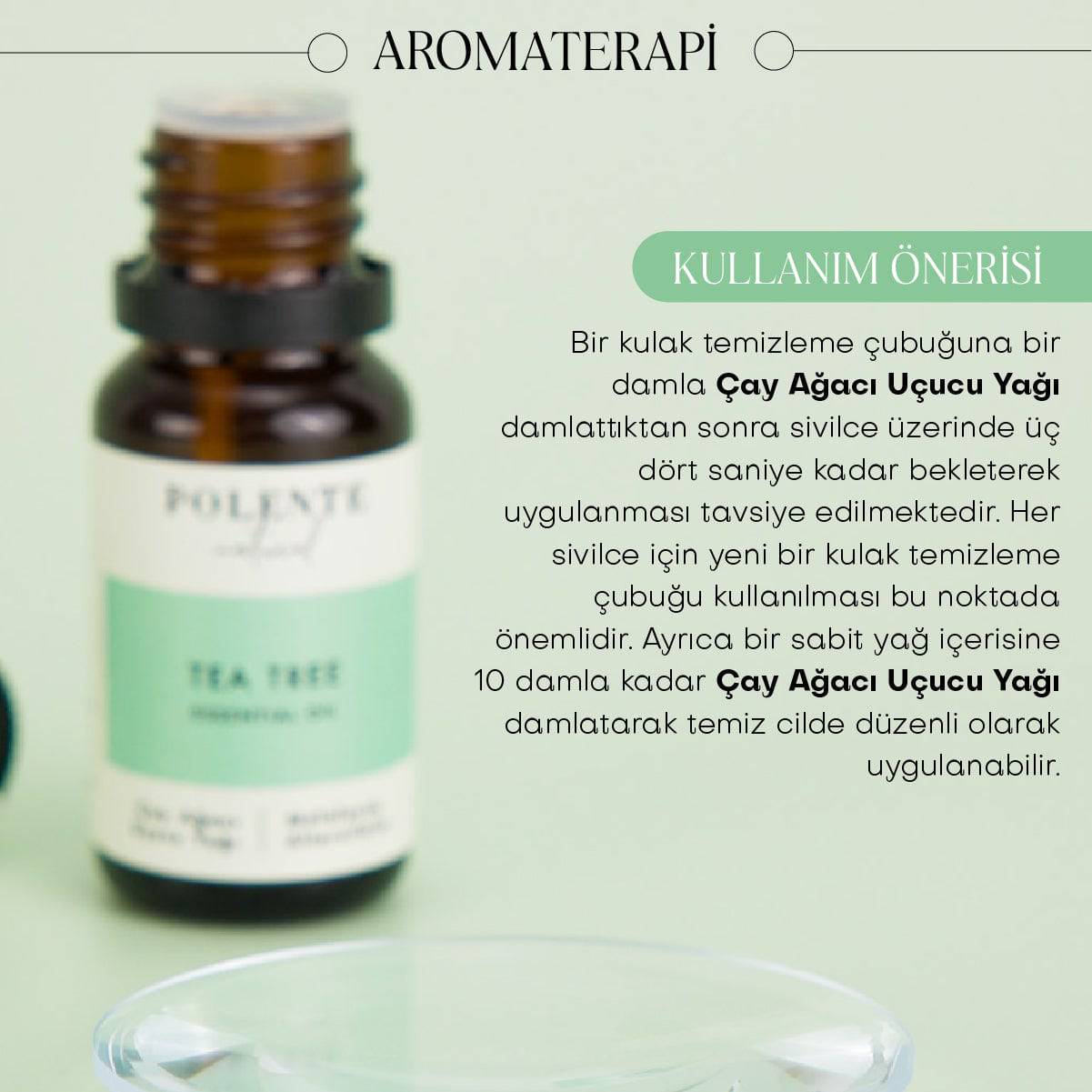 Çay Ağacı Uçucu Yağı (10 ml)