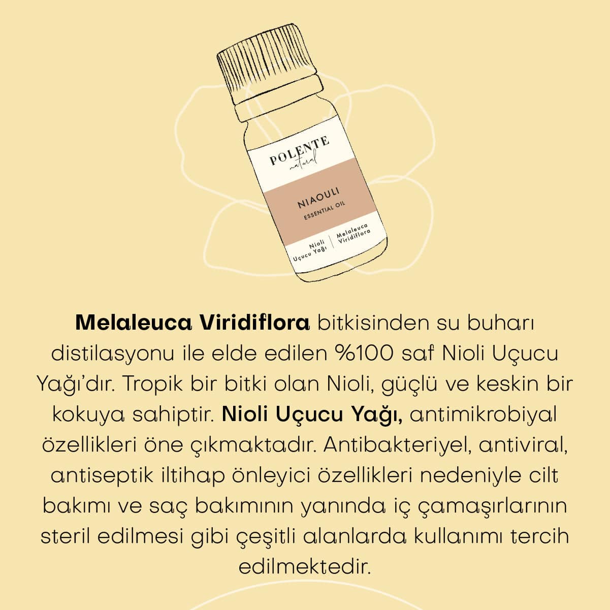 Niaoli Uçucu Yağı (10 ml)