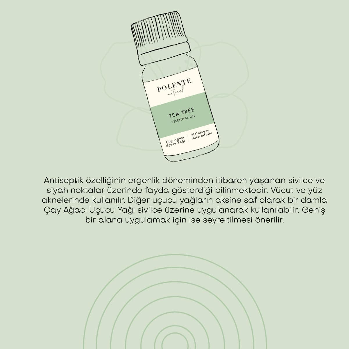 Çay Ağacı Uçucu Yağı (10 ml)