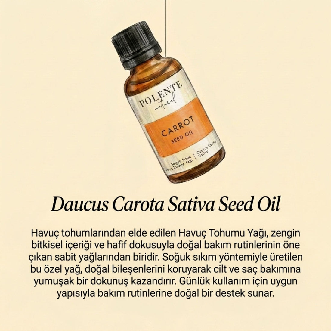 Carrot Seed Oil - Cold Pressed (30 ml)