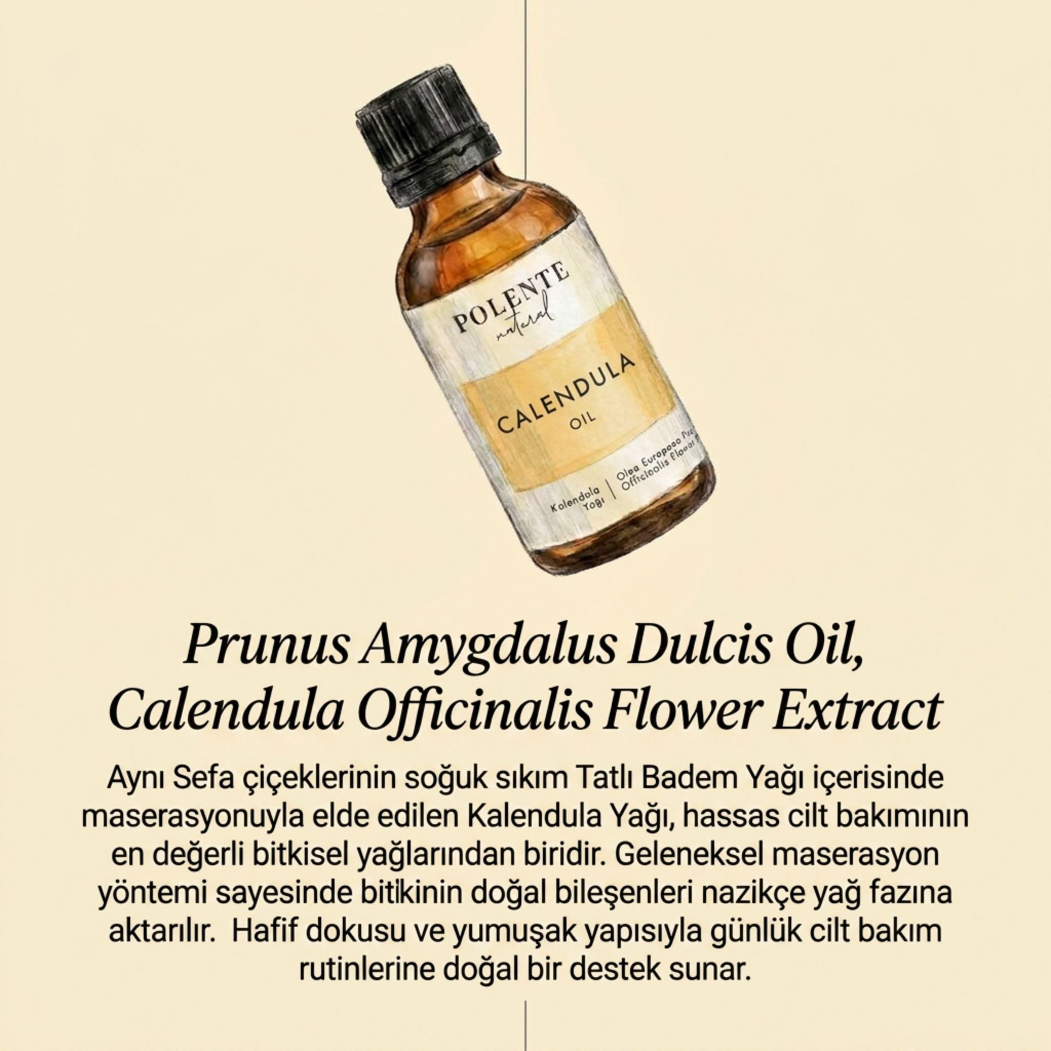 Kalendula Yağı - Aynı Sefa Yağı (50 ml) - Polente Natural