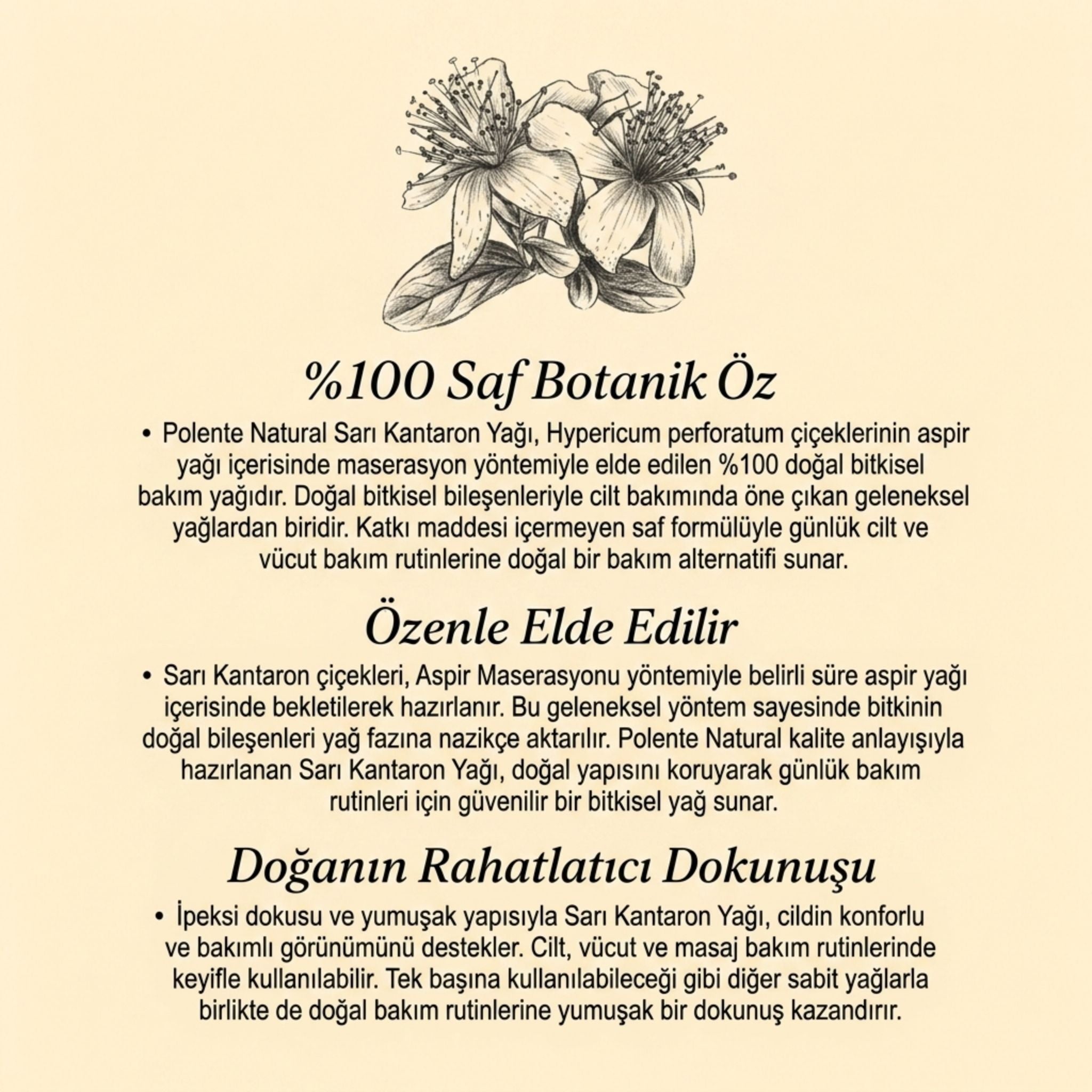 Sarı Kantaron Yağı 50 ml damlalık ve şişe kompozisyonu — Anadolu geleneksel bakım yağı