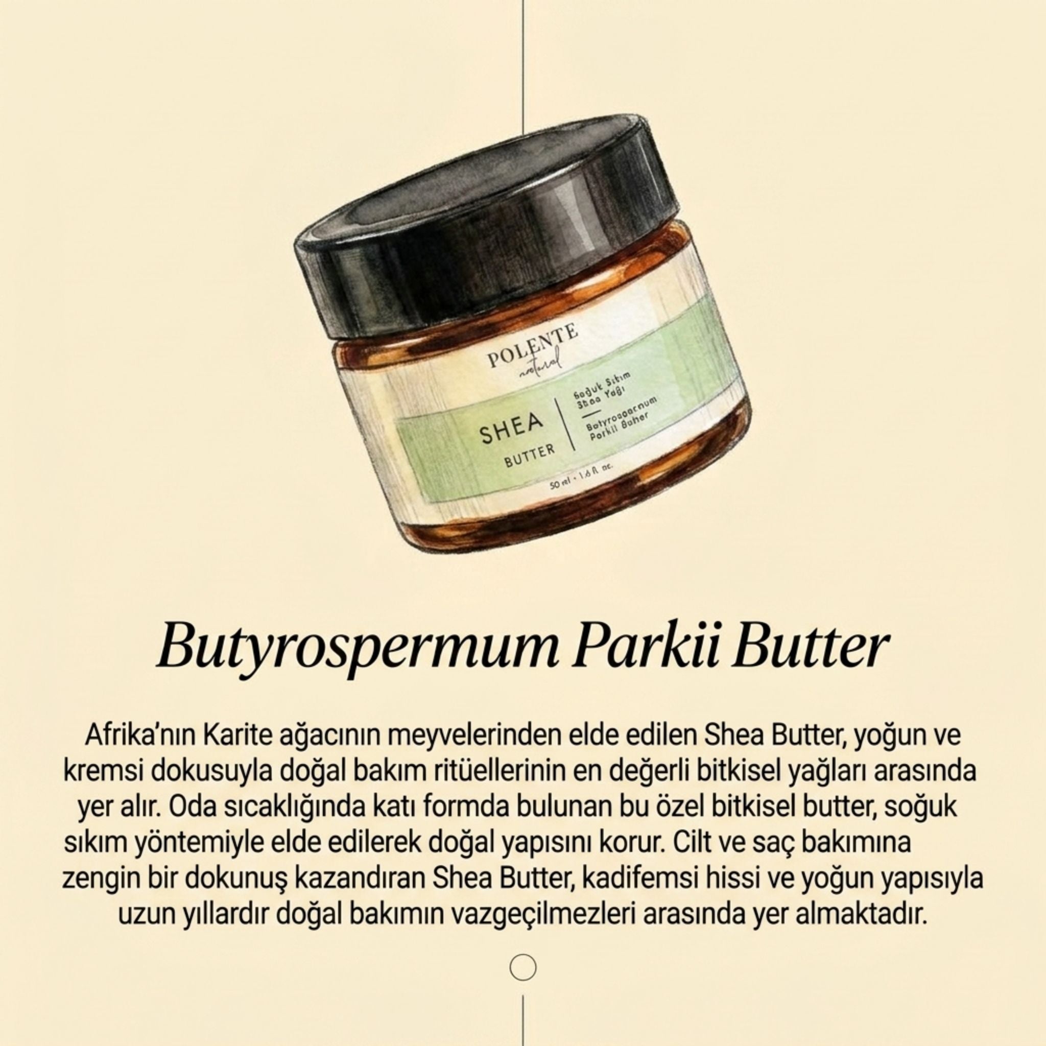 Shea Butter - Soğuk Sıkım (50 ml) - Polente Natural