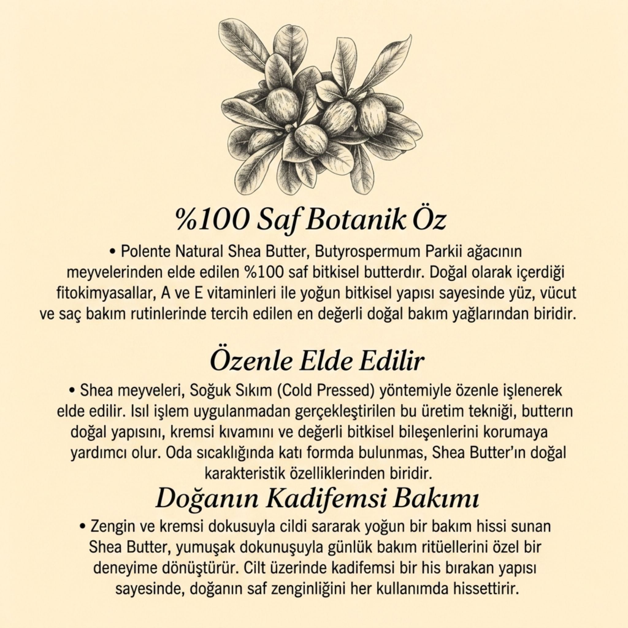 Shea Butter - Soğuk Sıkım (50 ml) - Polente Natural
