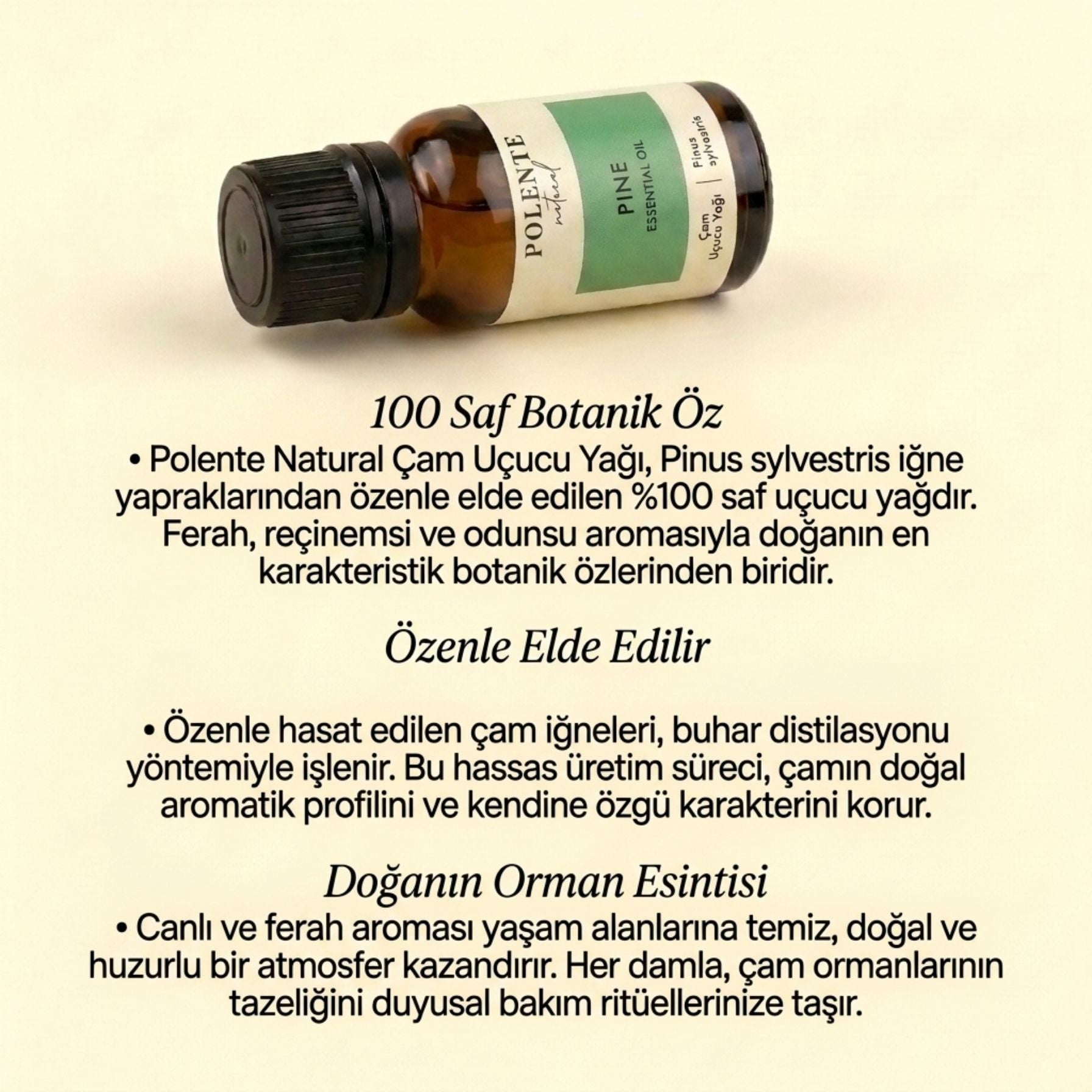 Çam Uçucu Yağı (10 ml) - Polente Natural