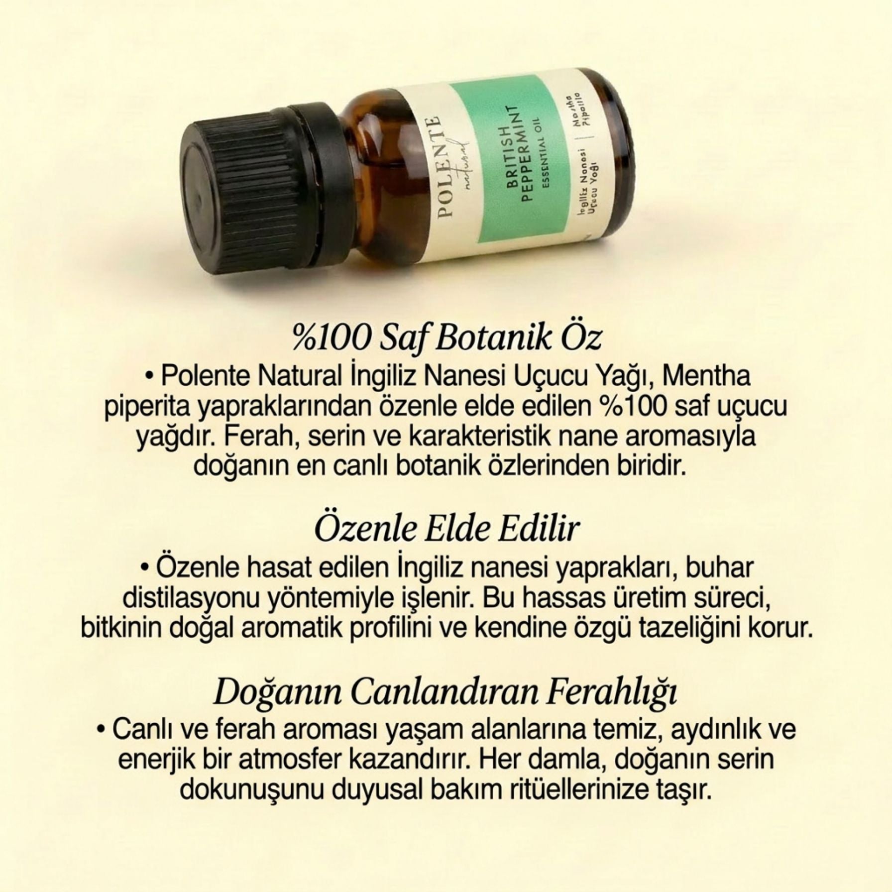 Peppermint Essential Oil (10 ml)