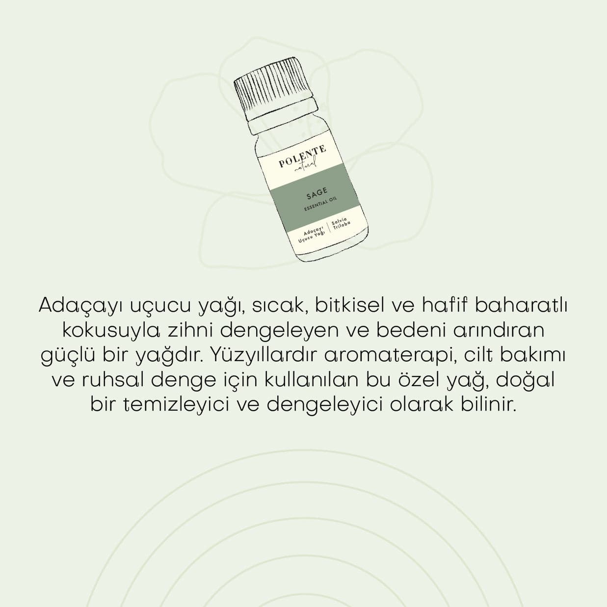 Adaçayı Uçucu Yağı (10 ml)