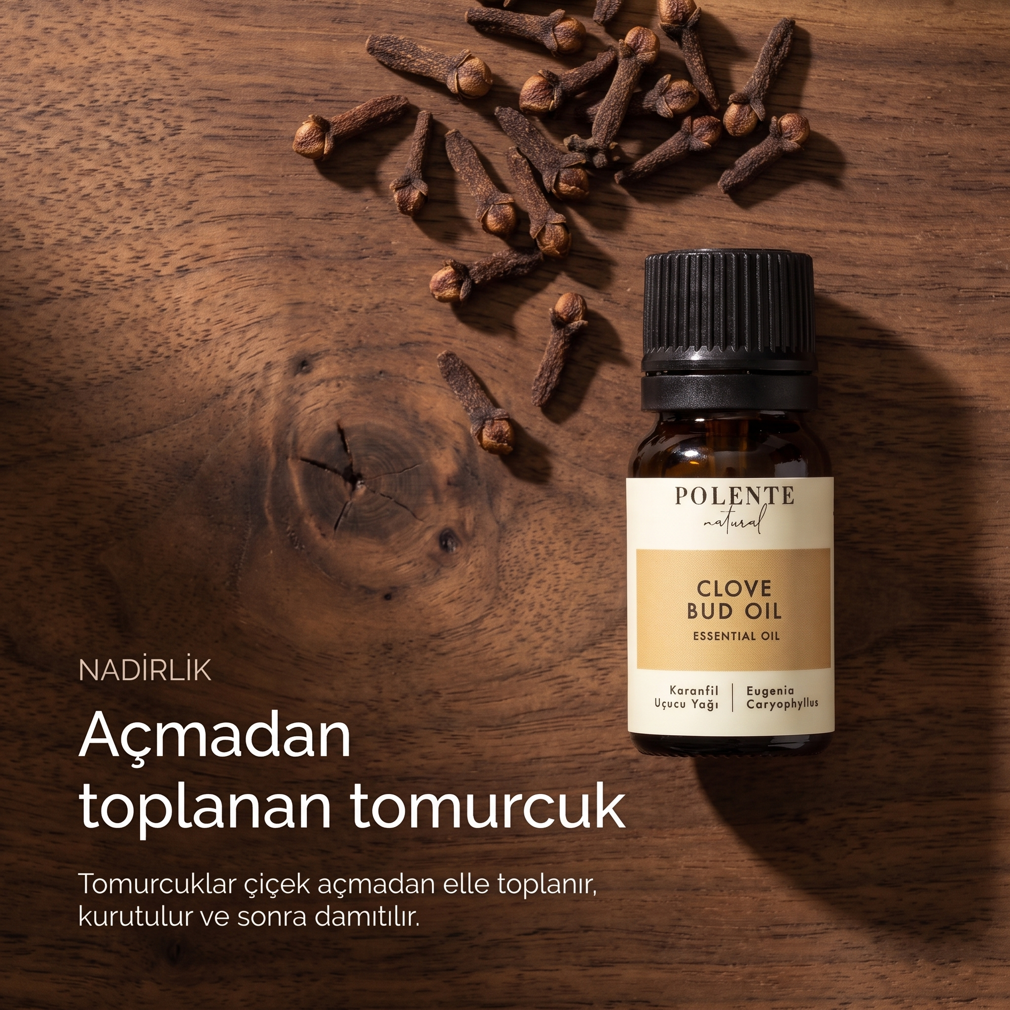 Karanfil Uçucu Yağı 10 ml — açmadan elle toplanan kurutulmuş karanfil tomurcukları