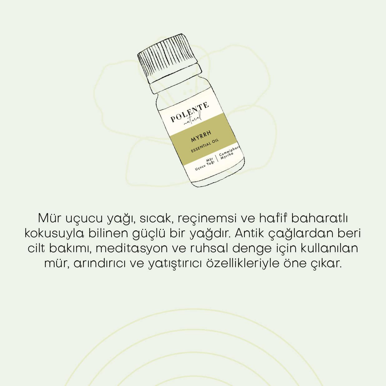 Mür Uçucu Yağı (5 ml)