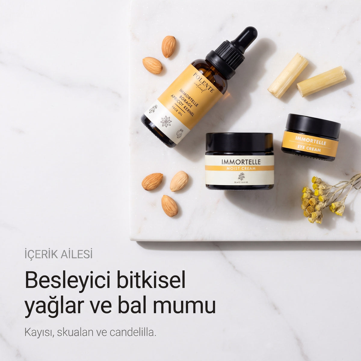 Ölmez Çiçek Kırışıklık Karşıtı Seri — kayısı, skualan ve candelilla içerik ailesi