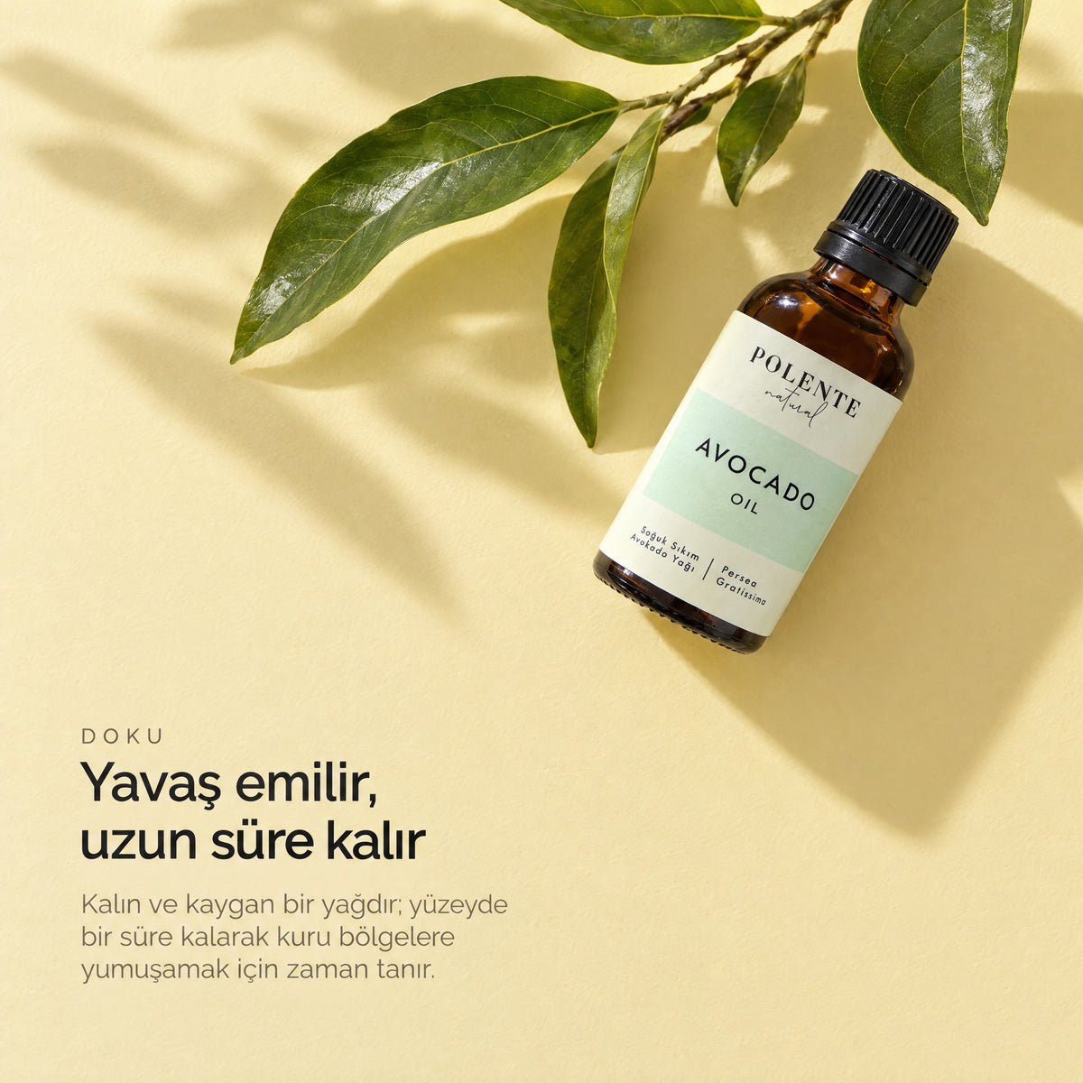 Avokado Yağı 50 ml — yavaş emilir, uzun süre kalır