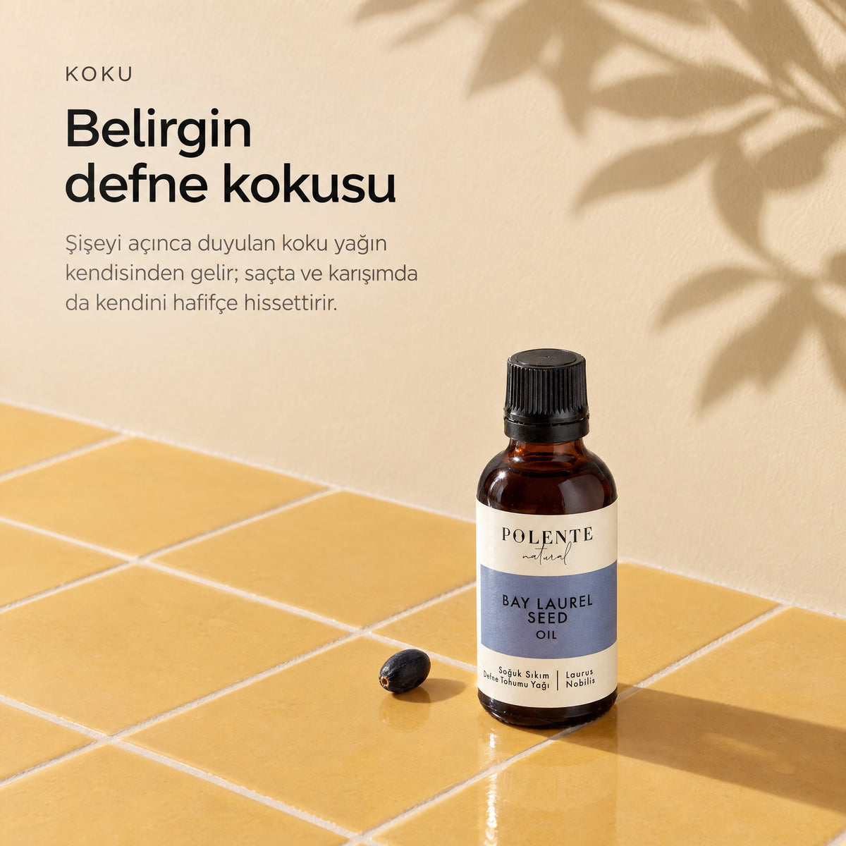 Defne Tohumu Yağı 50 ml — belirgin defne kokusu