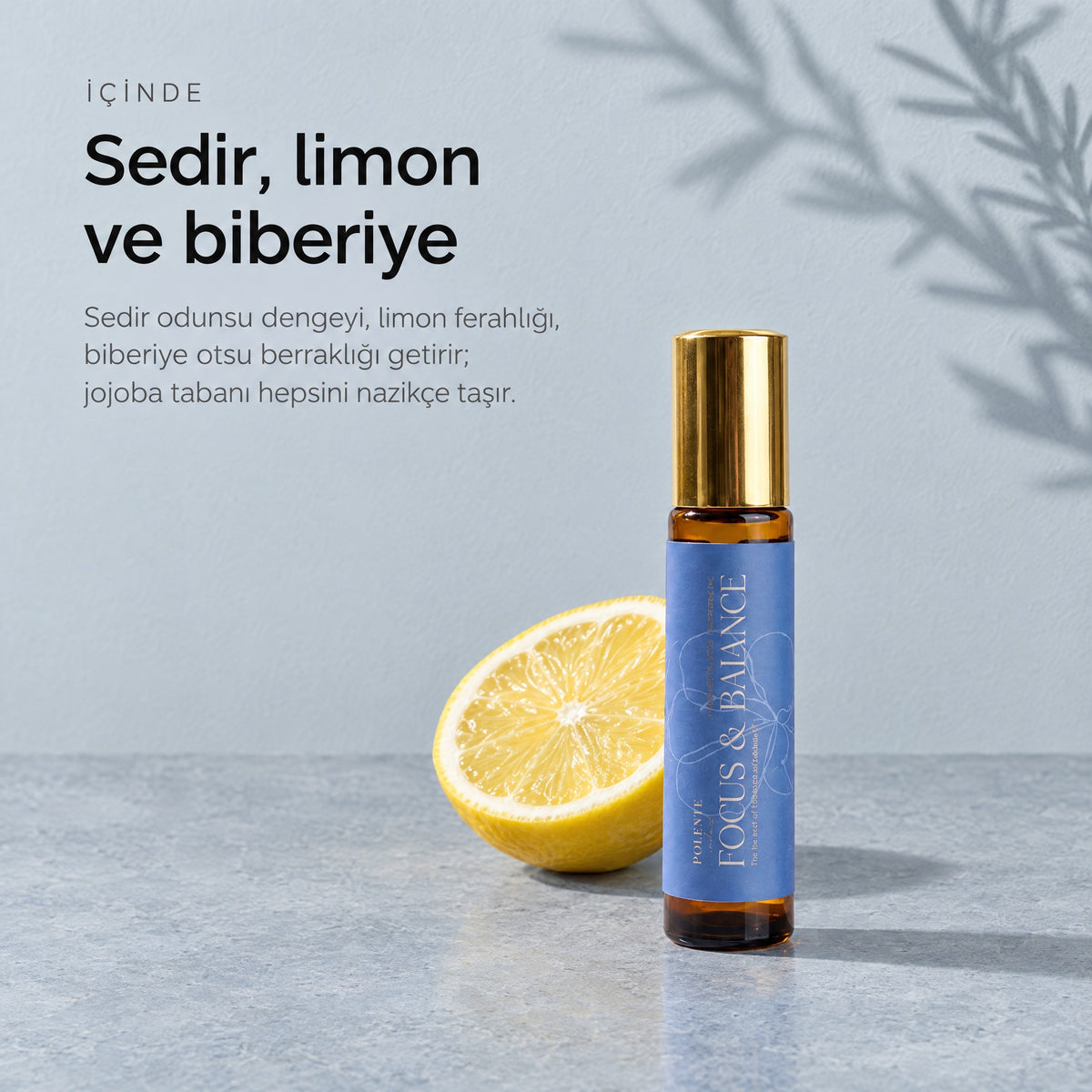 FOCUS & BALANCE Aromaterapik Masaj Yağı 10 ml — sedir, limon ve biberiye