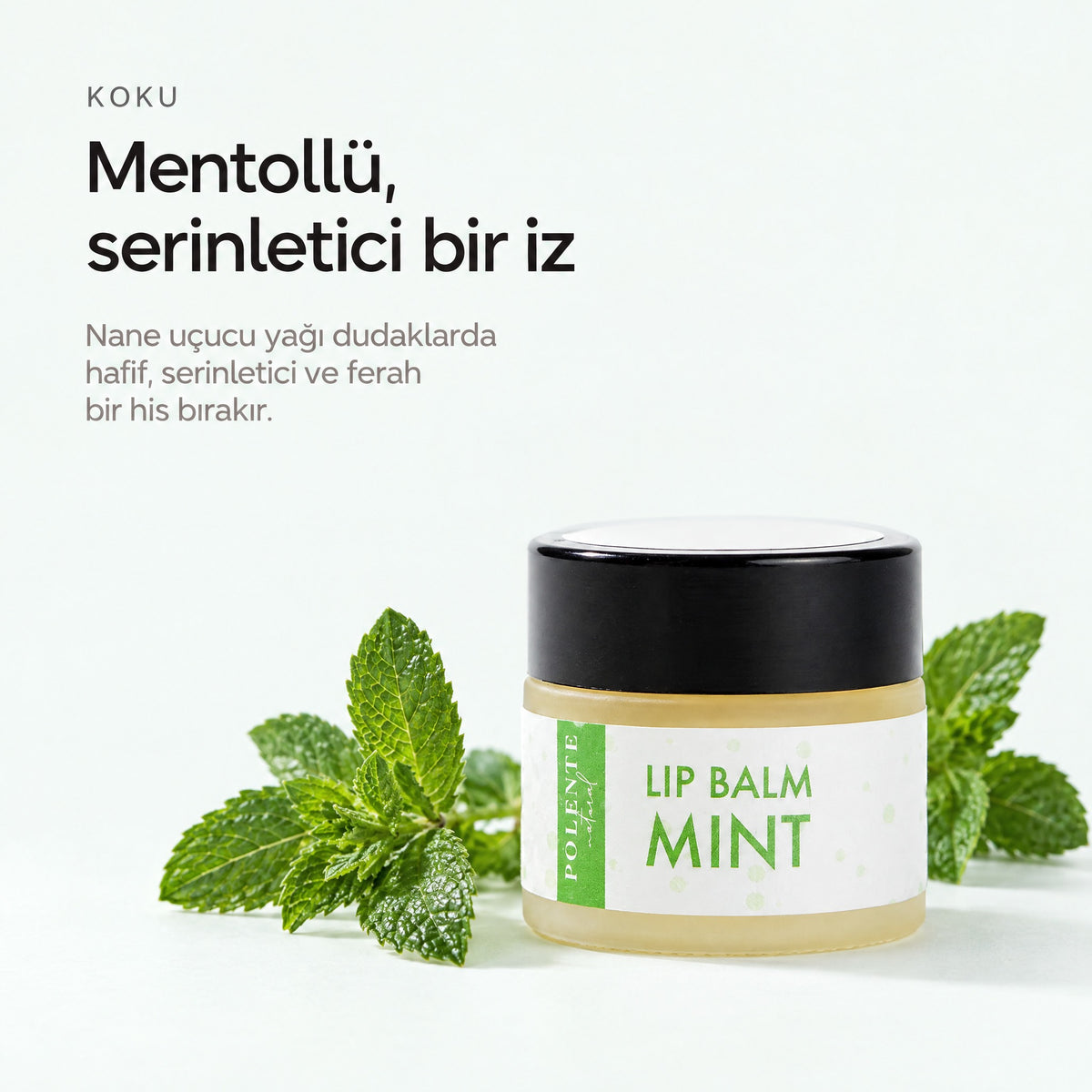 Naneli Lip Balm 10 ml — Mentollü, serinletici bir iz