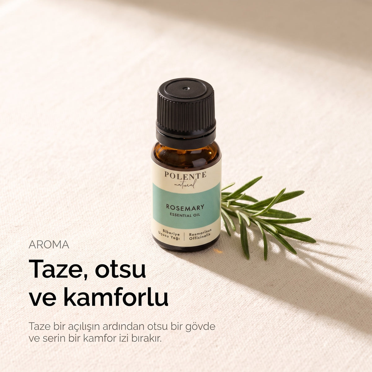 Taze, otsu ve kamforlu