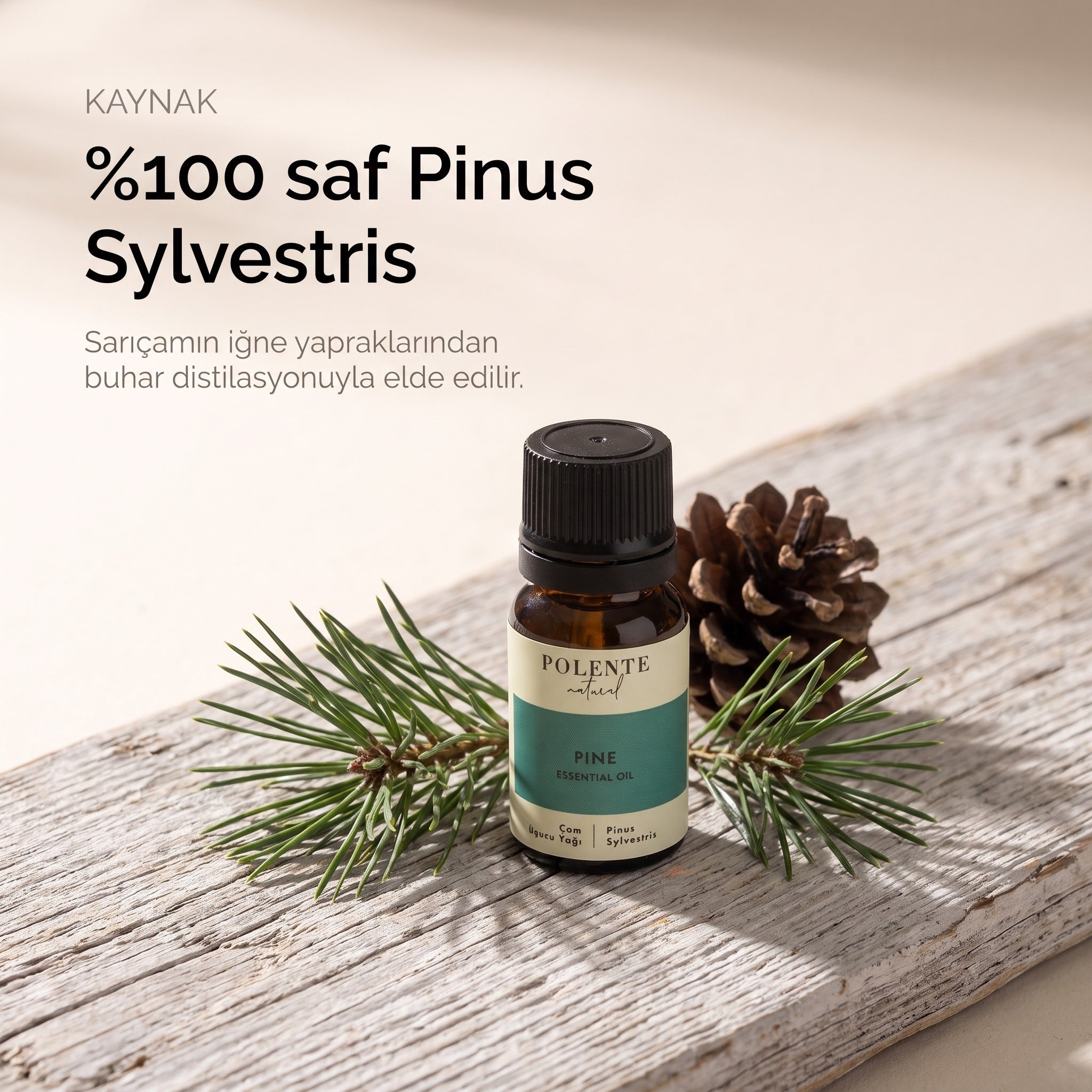 %100 saf Pinus Sylvestris