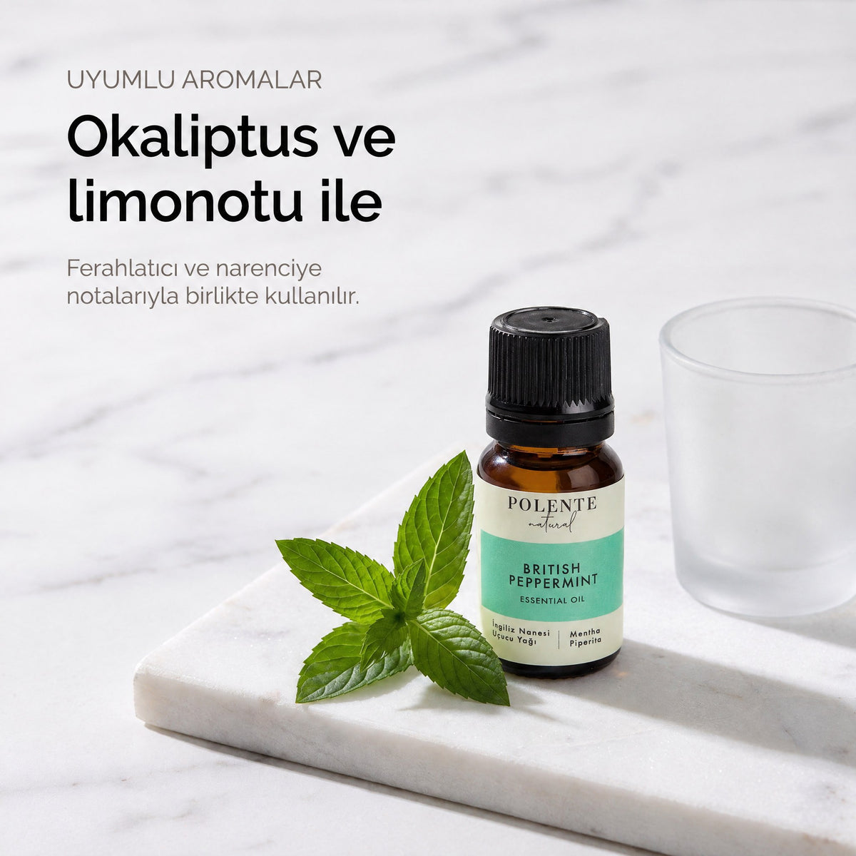 Okaliptus ve limonotu ile