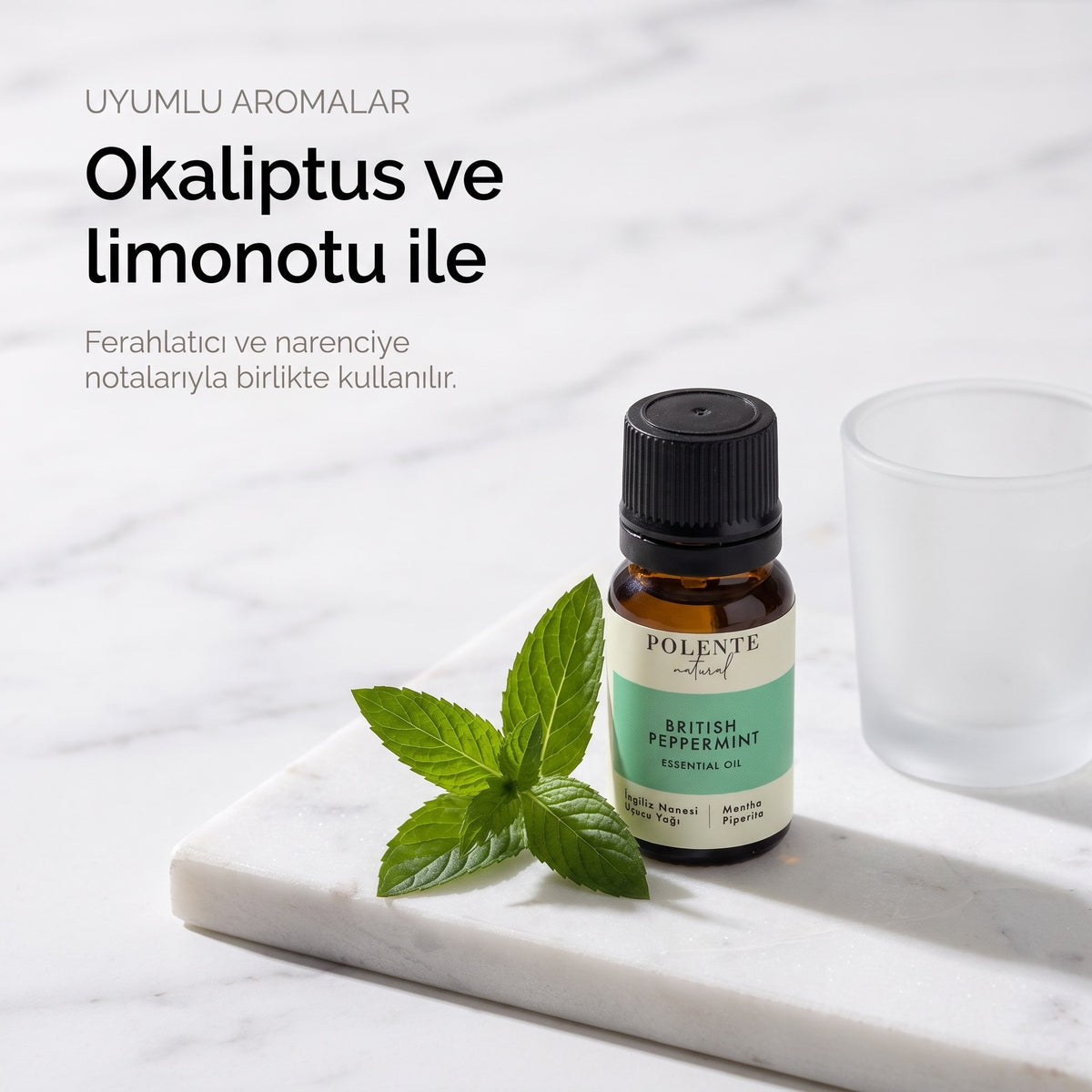 Okaliptus ve limonotu ile