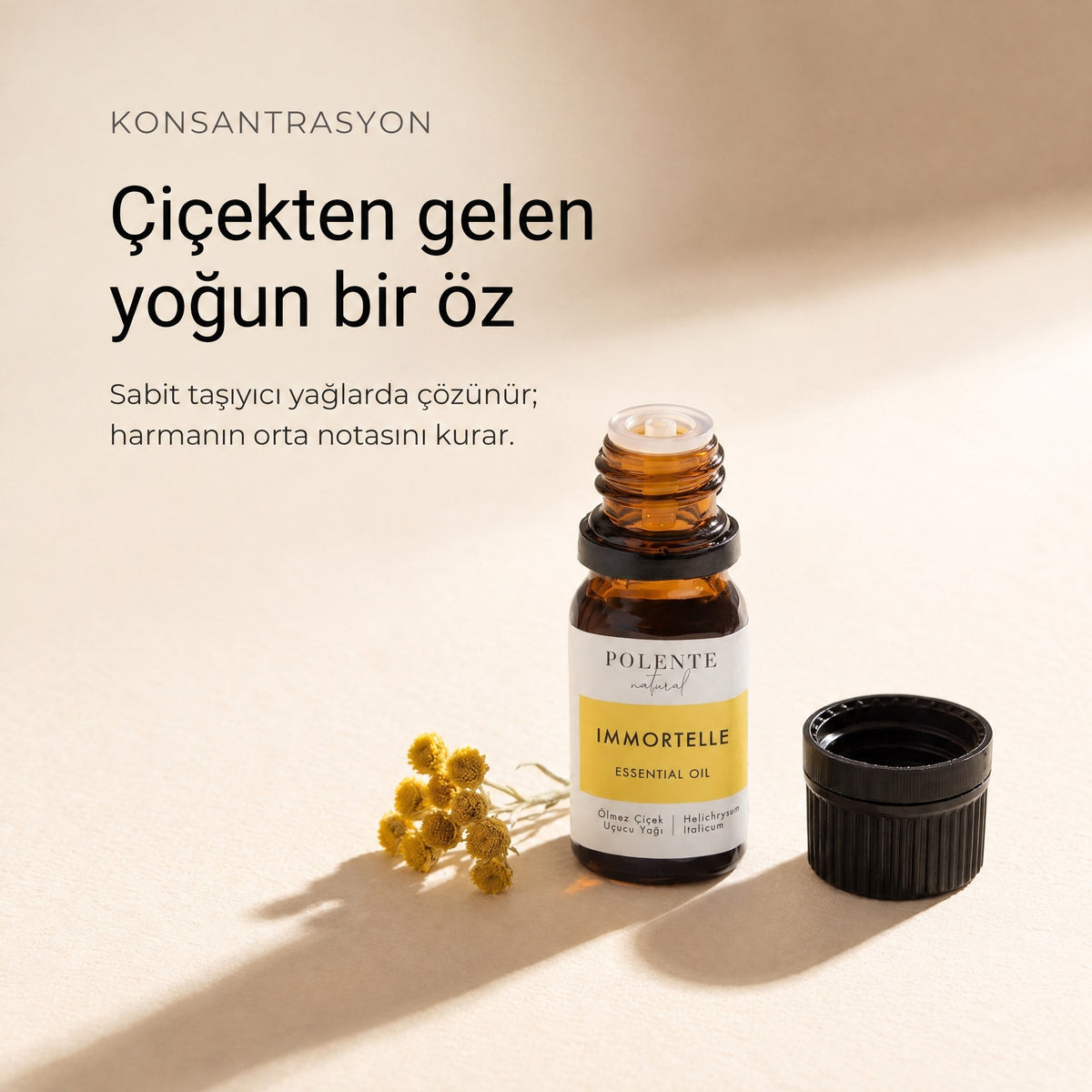 Çiçekten gelen yoğun ölmez çiçek özü