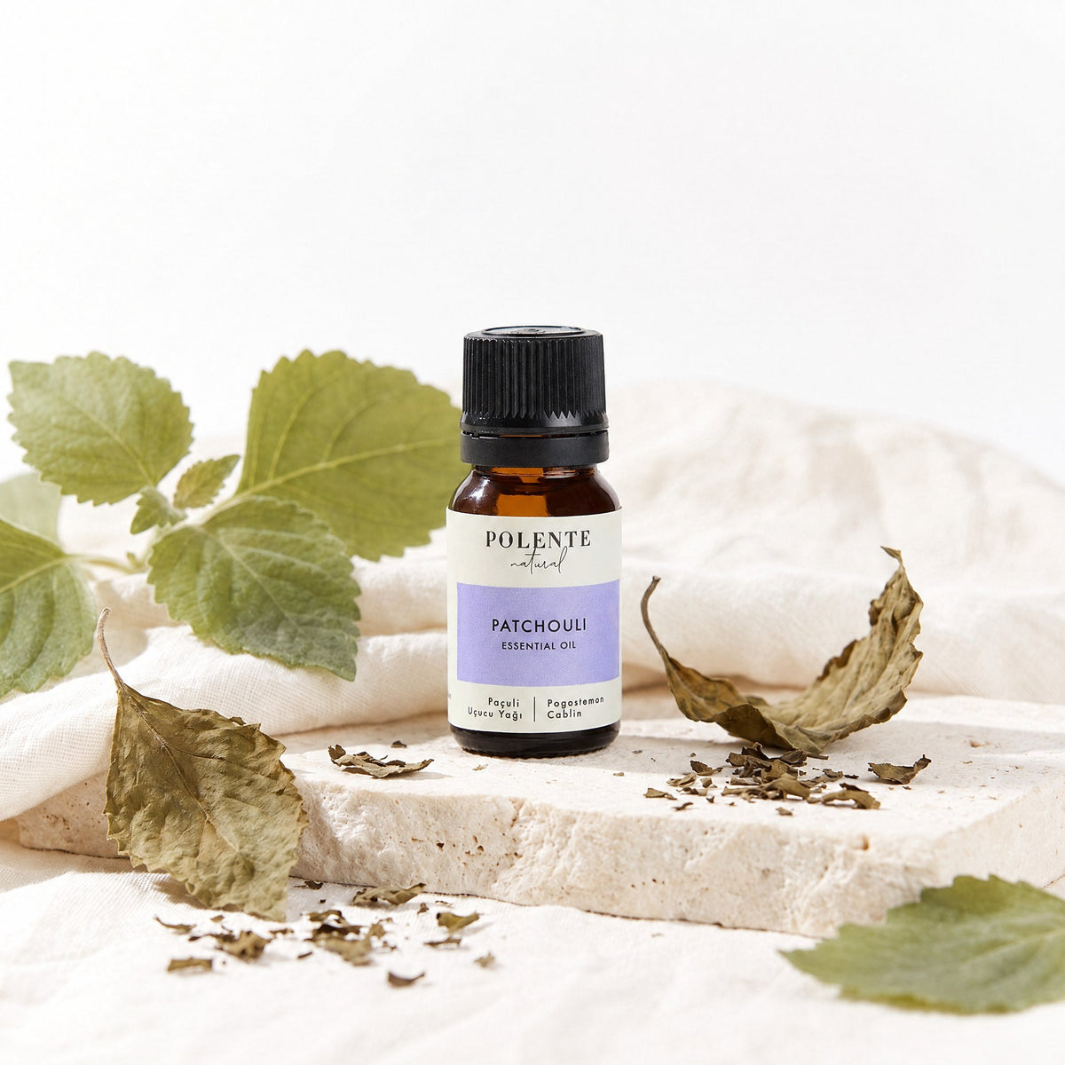 Patchouli Uçucu Yağı 10 ml — taze ve kurutulmuş paçuli yapraklarıyla botanik konsept görseli