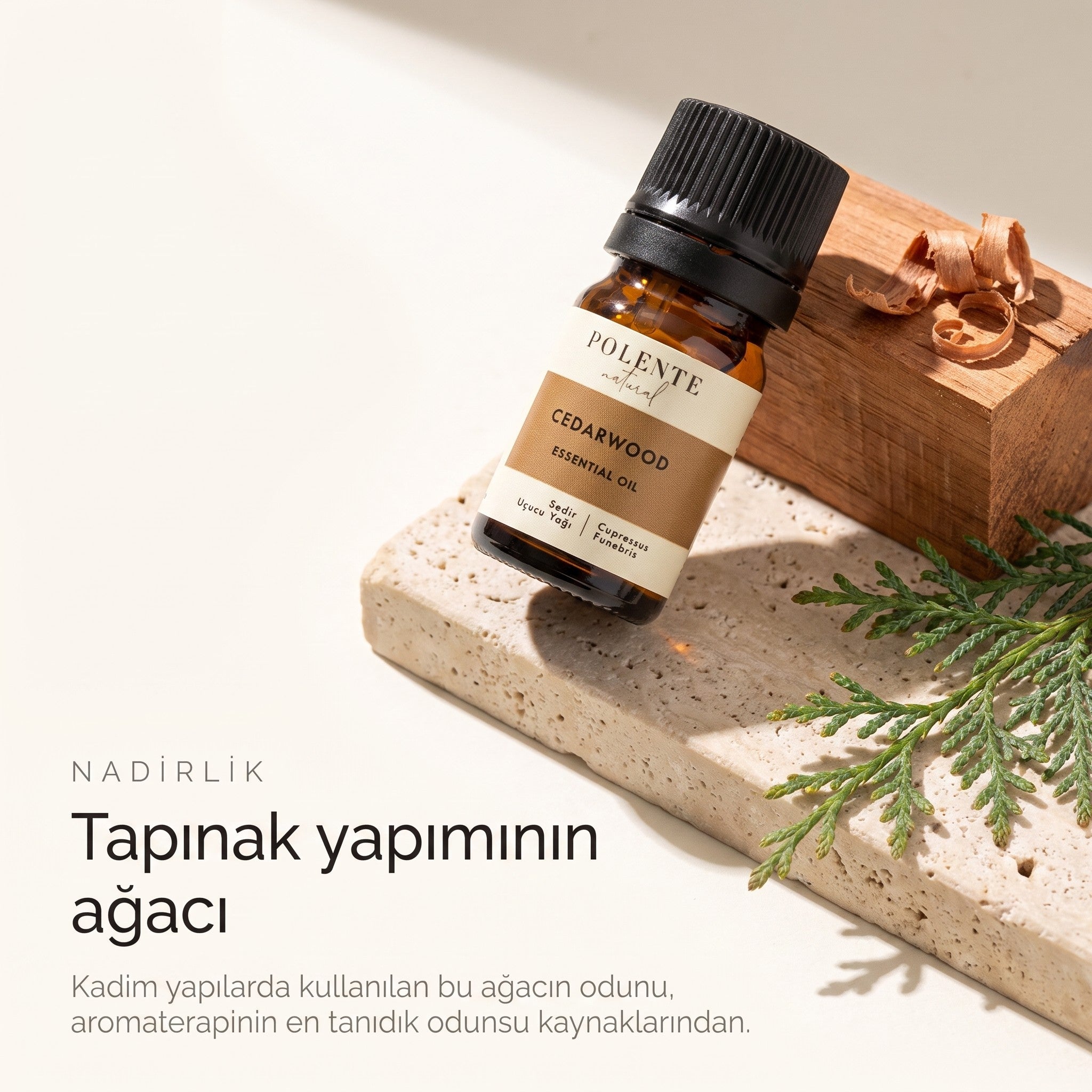 Tapınak yapımında kullanılan sedir ağacı