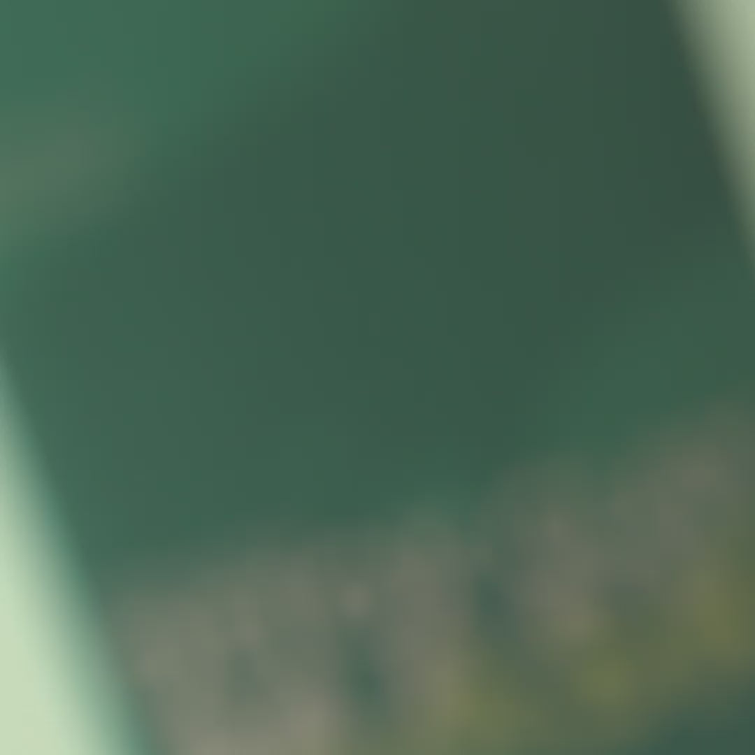 Spirulina Algae Detox Clay Mask (8 Pieces x 8 ml)