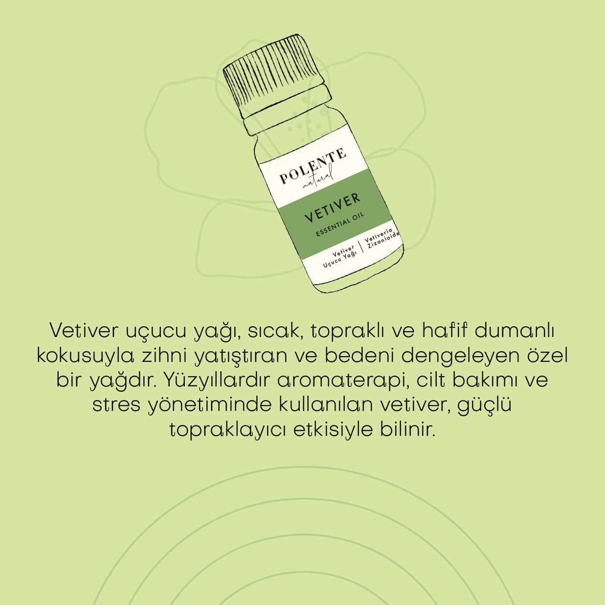 Vetiver Uçucu Yağı (5 ml)
