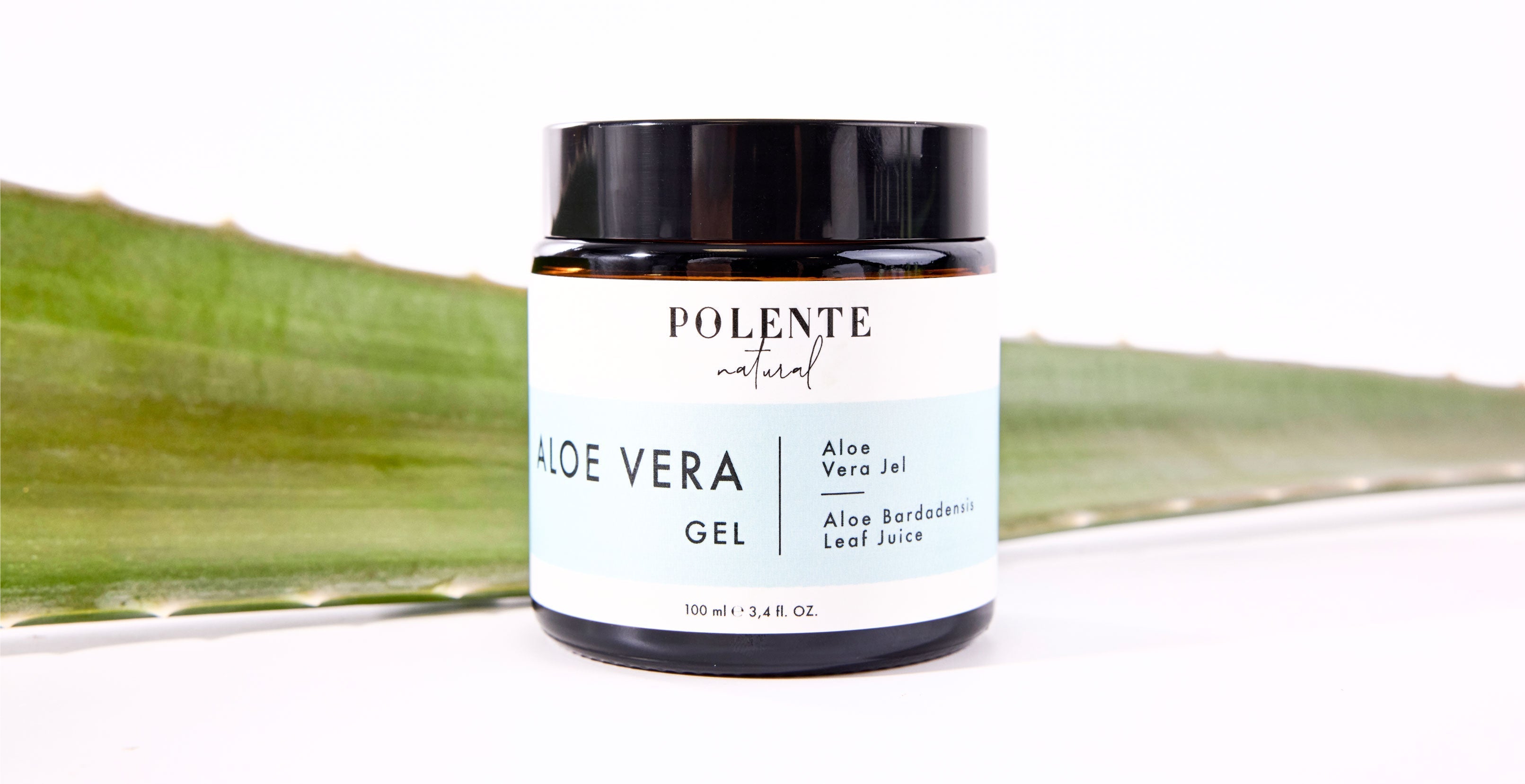 lmszlk Bitkisi Aloe Verann Bilinmeyen Faydalar - Polente Natural