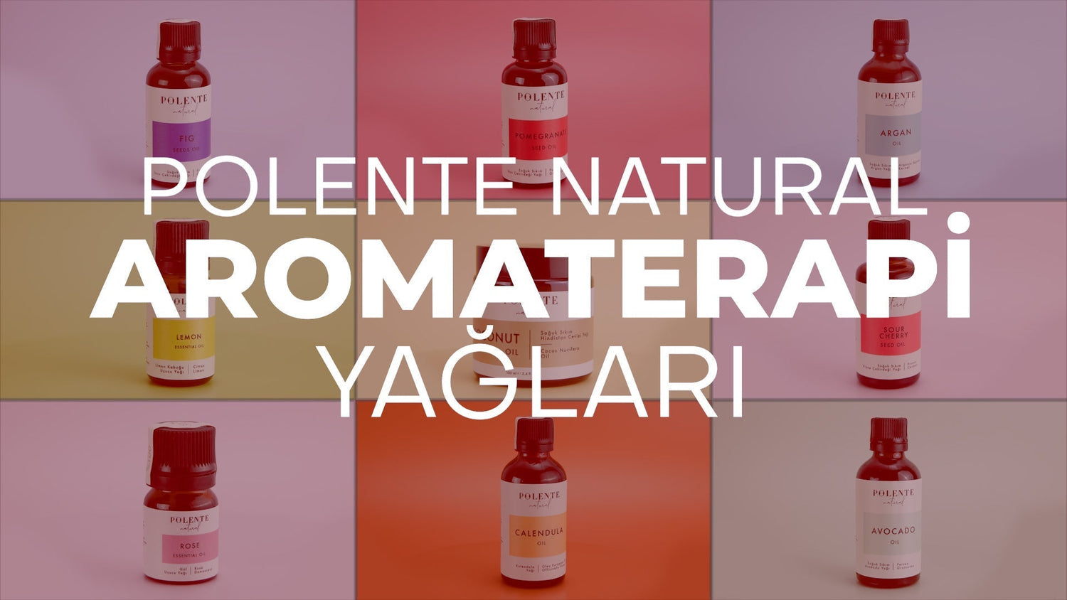 Polente Natural: Türkiye'deki En Geniş Uçucu Yağ Ürün Yelpazesi - Polente Natural