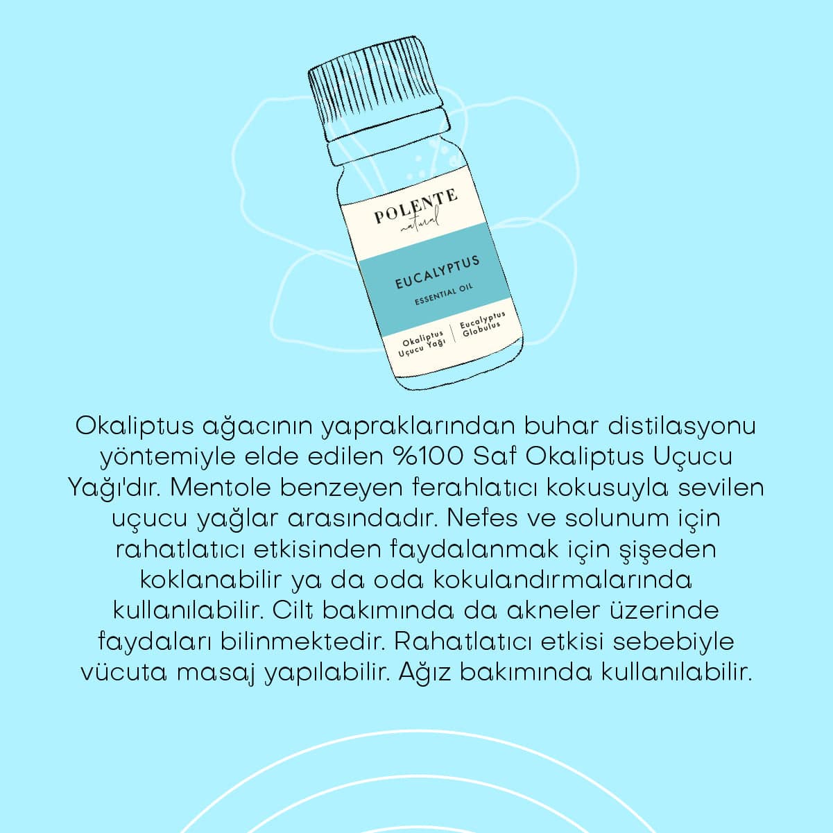 Okaliptus Uçucu Yağı (10 ml)