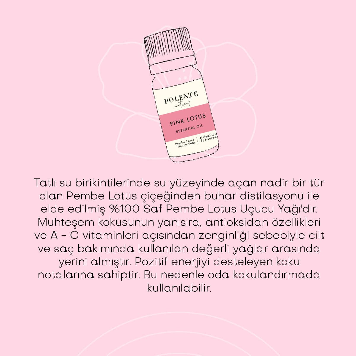 Pembe Lotus Uçucu Yağı (5 ml)