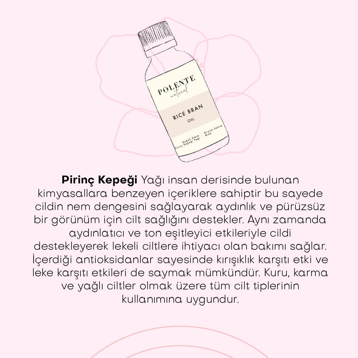 Pirinç Kepegi Yağı - Soğuk Sıkım (30 ml)