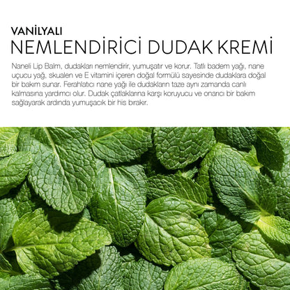Naneli Lip Balm - Nemlendirici Dudak Kremi (10 ml)
