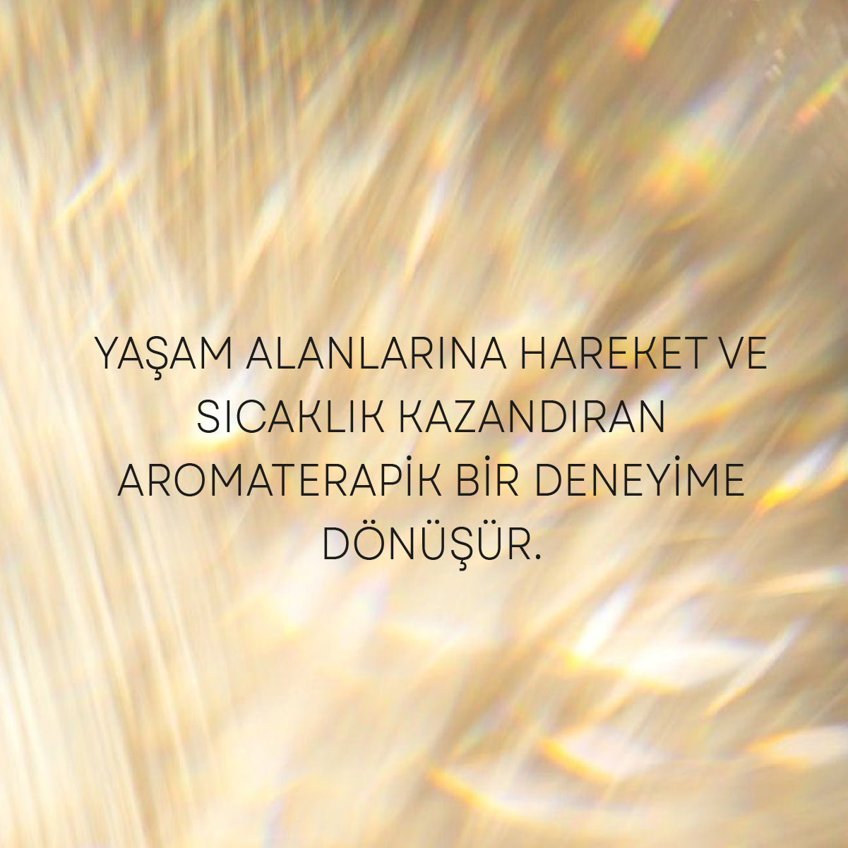 Bolluk&amp;Bereket Uçucu Yağ Karışımı