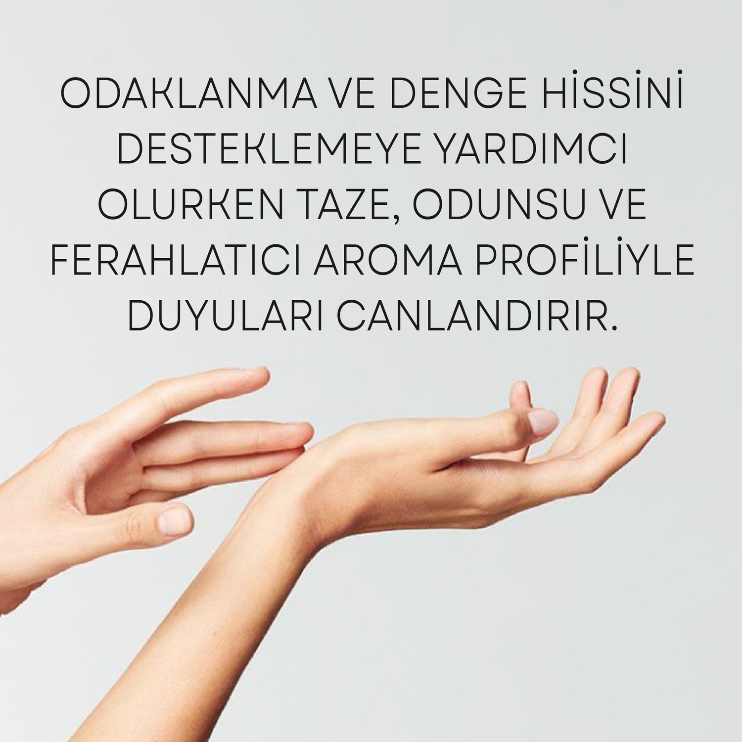 Odak ve Denge İçin Aromaterapik Masaj Yağı