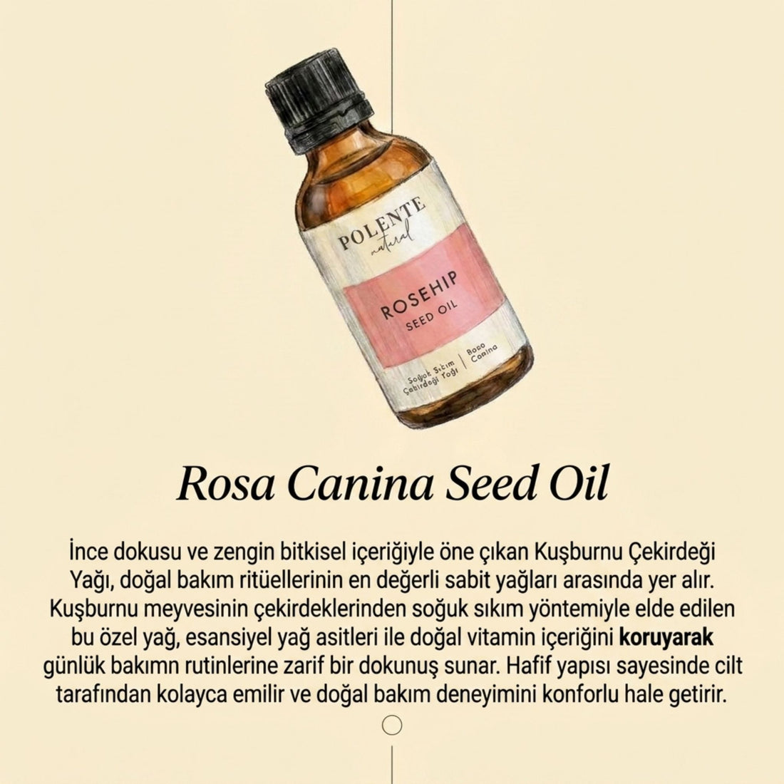 Kuşburnu Çekirdeği Yağı - Soğuk Sıkım (50 ml)