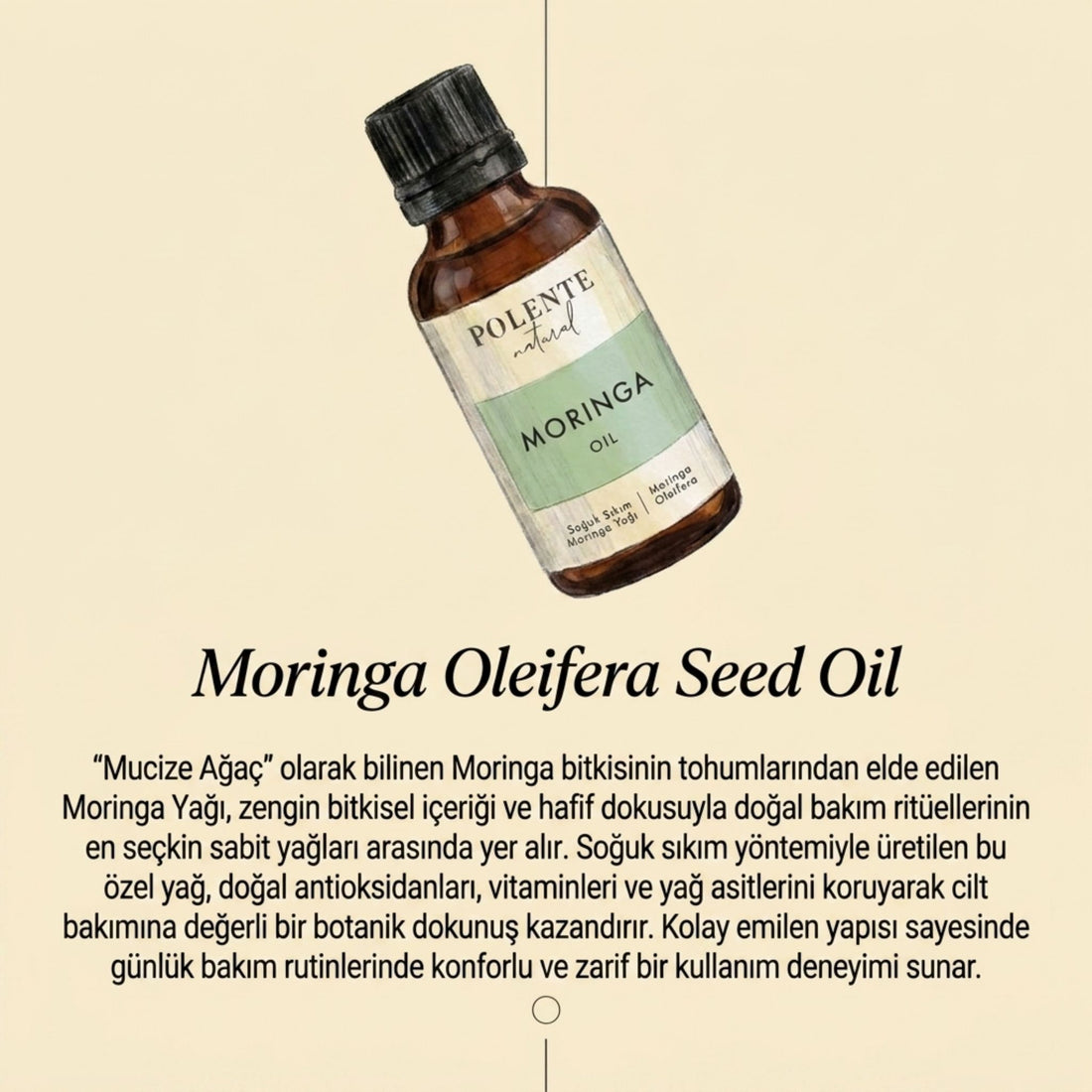 Moringa Oil - Cold Pressed (30 ml)