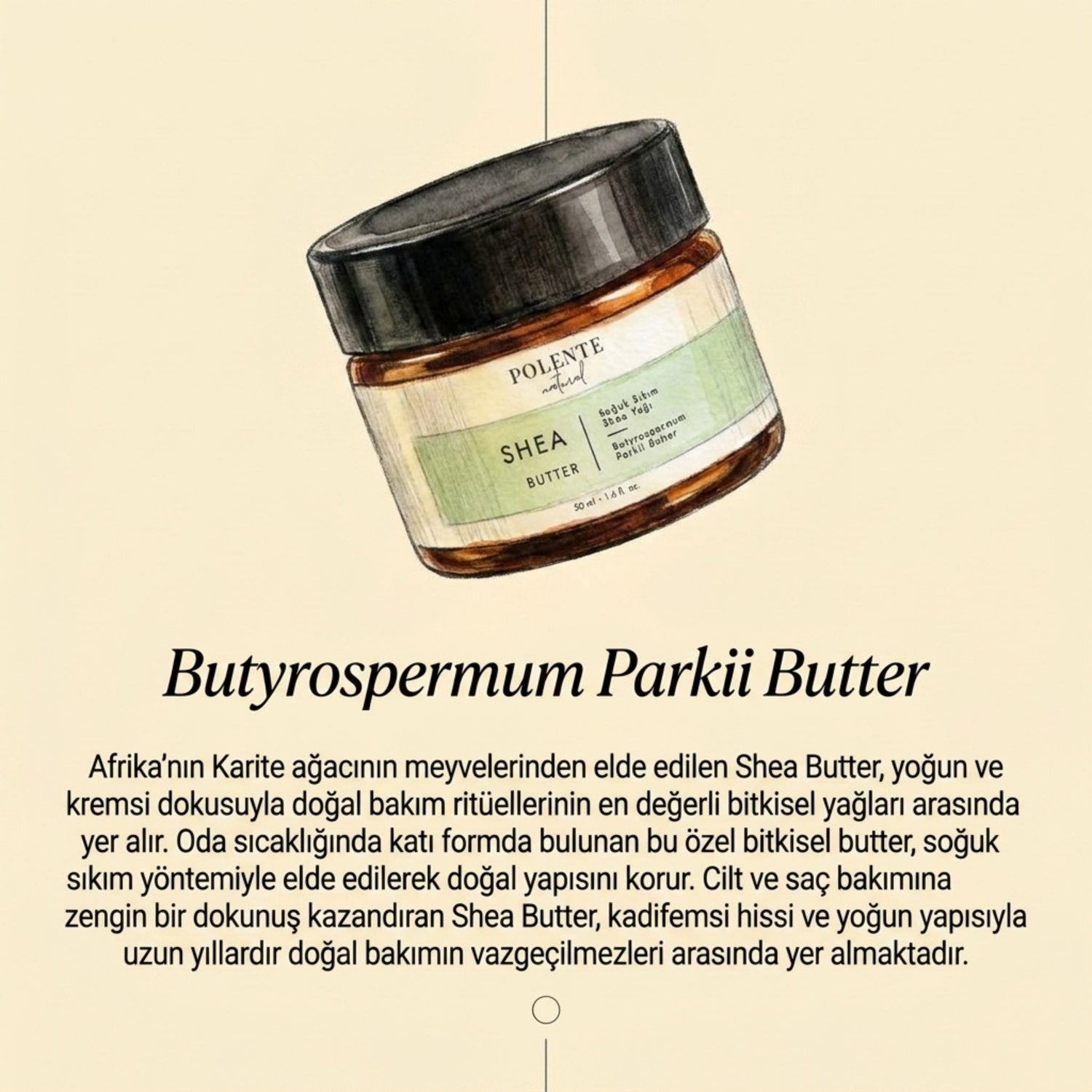 Shea Butter - Soğuk Sıkım (50 ml)