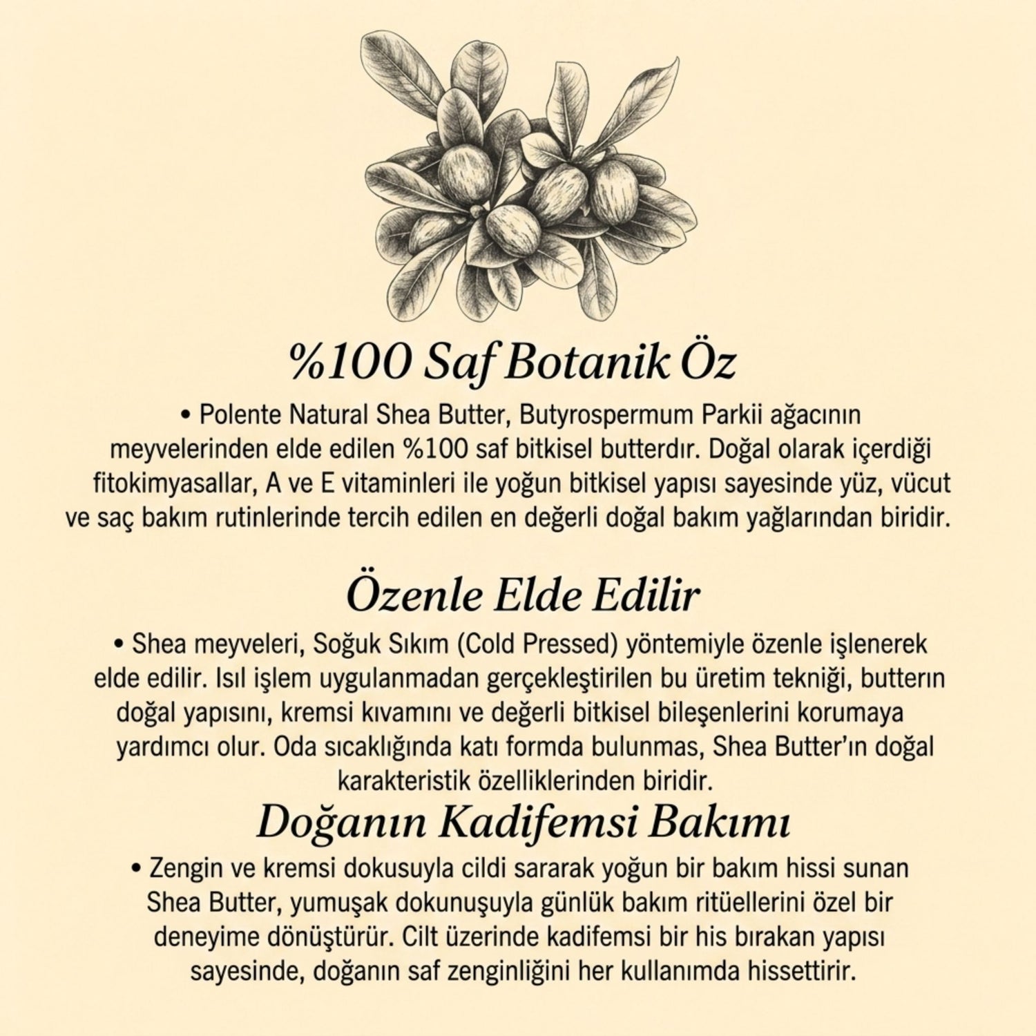 Shea Butter - Soğuk Sıkım (50 ml)