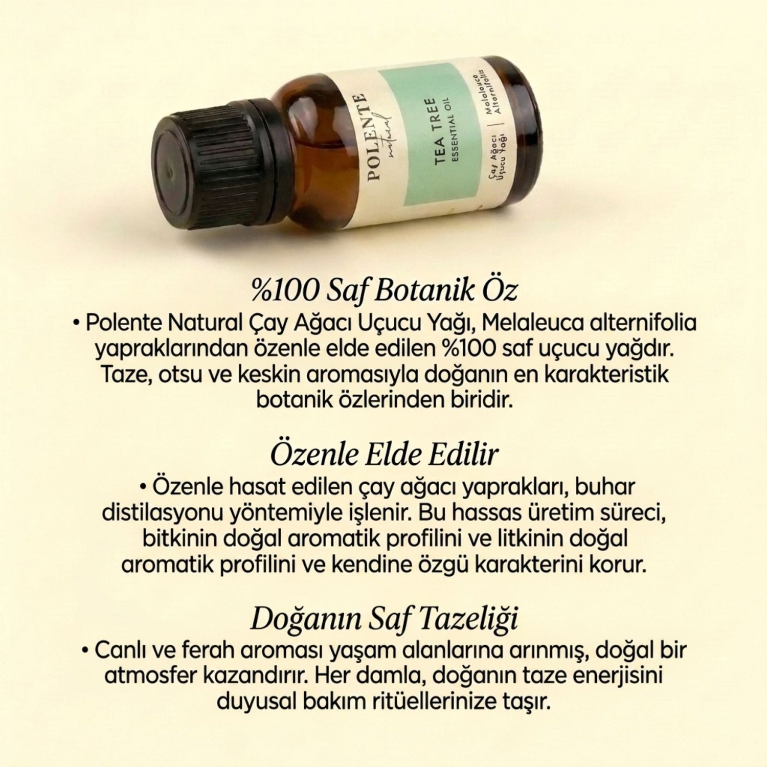 Tea Tree Essential Oil (10 ml)