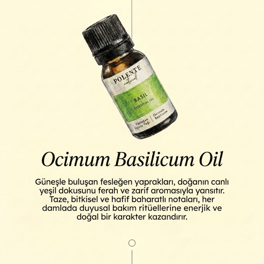 Fesleğen Uçucu Yağı (10 ml) - Polente Natural