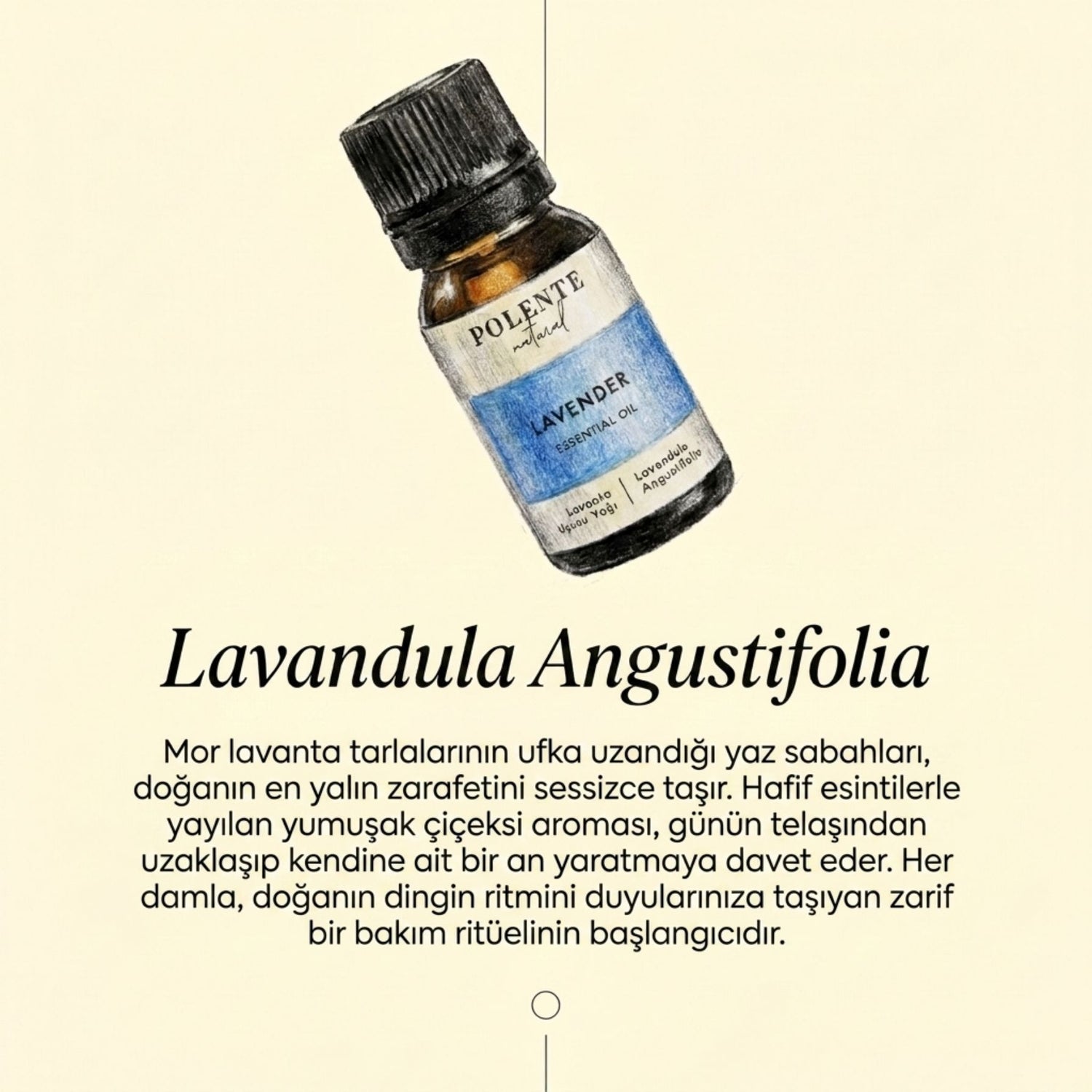Эфирное масло лаванды (10 мл)