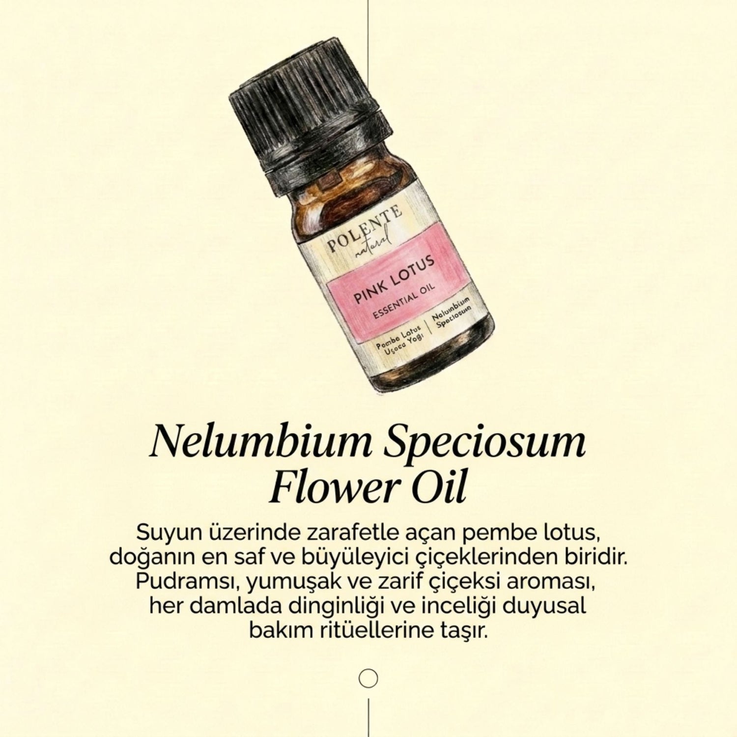 Pink Lotus Essential Oil (5 ml)