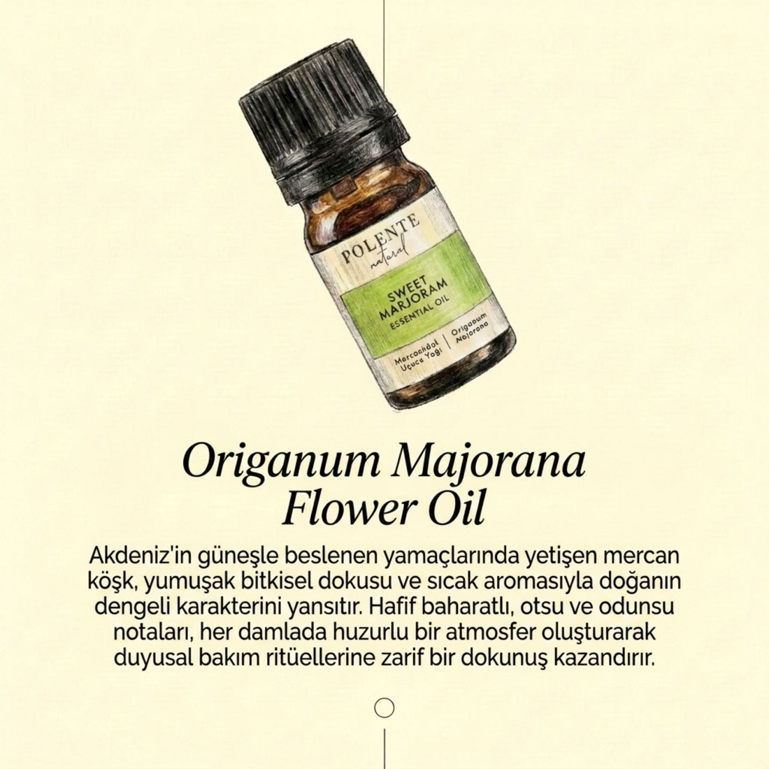 Mercanköşk Uçucu Yağı (5 ml) - Polente Natural