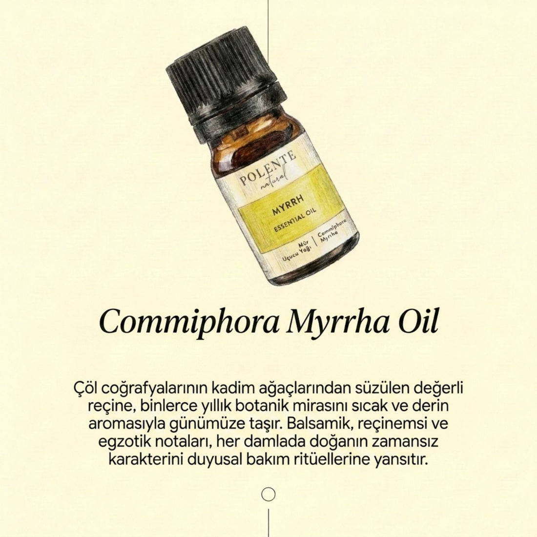 Mür Uçucu Yağı (5 ml) - Polente Natural