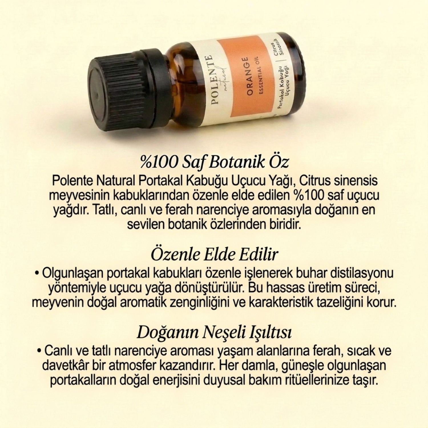Orange Peel Essential Oil (10 ml)