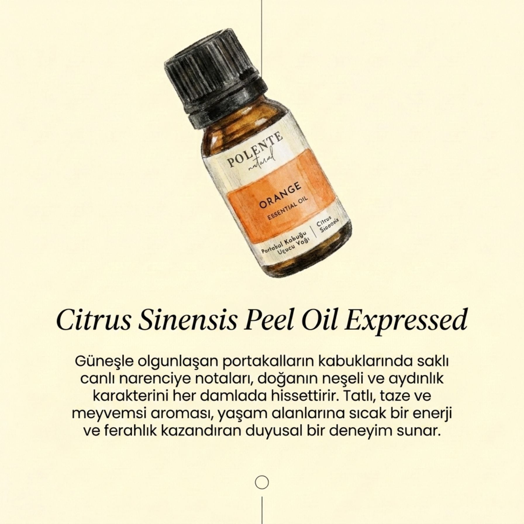 Orange Peel Essential Oil (10 ml)
